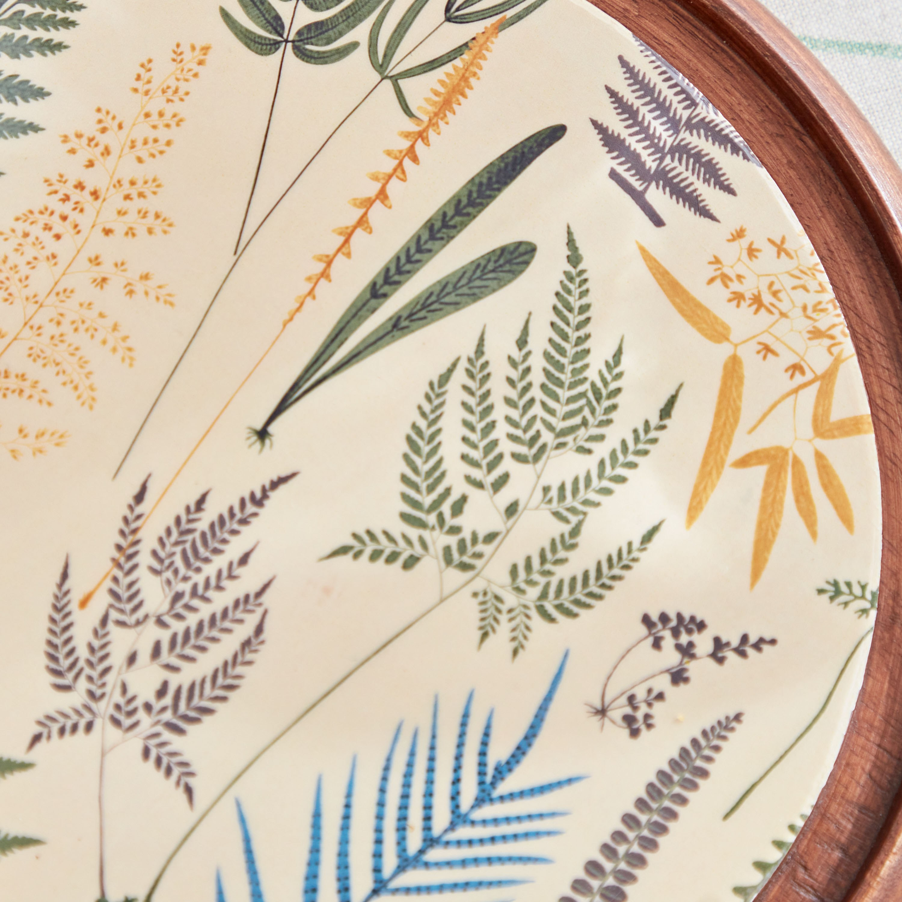 حامل كيك خشب مع غطاء زجاج من بوتانيكا-hbxdecorandfurnishings-tabletop-serveware-image-5