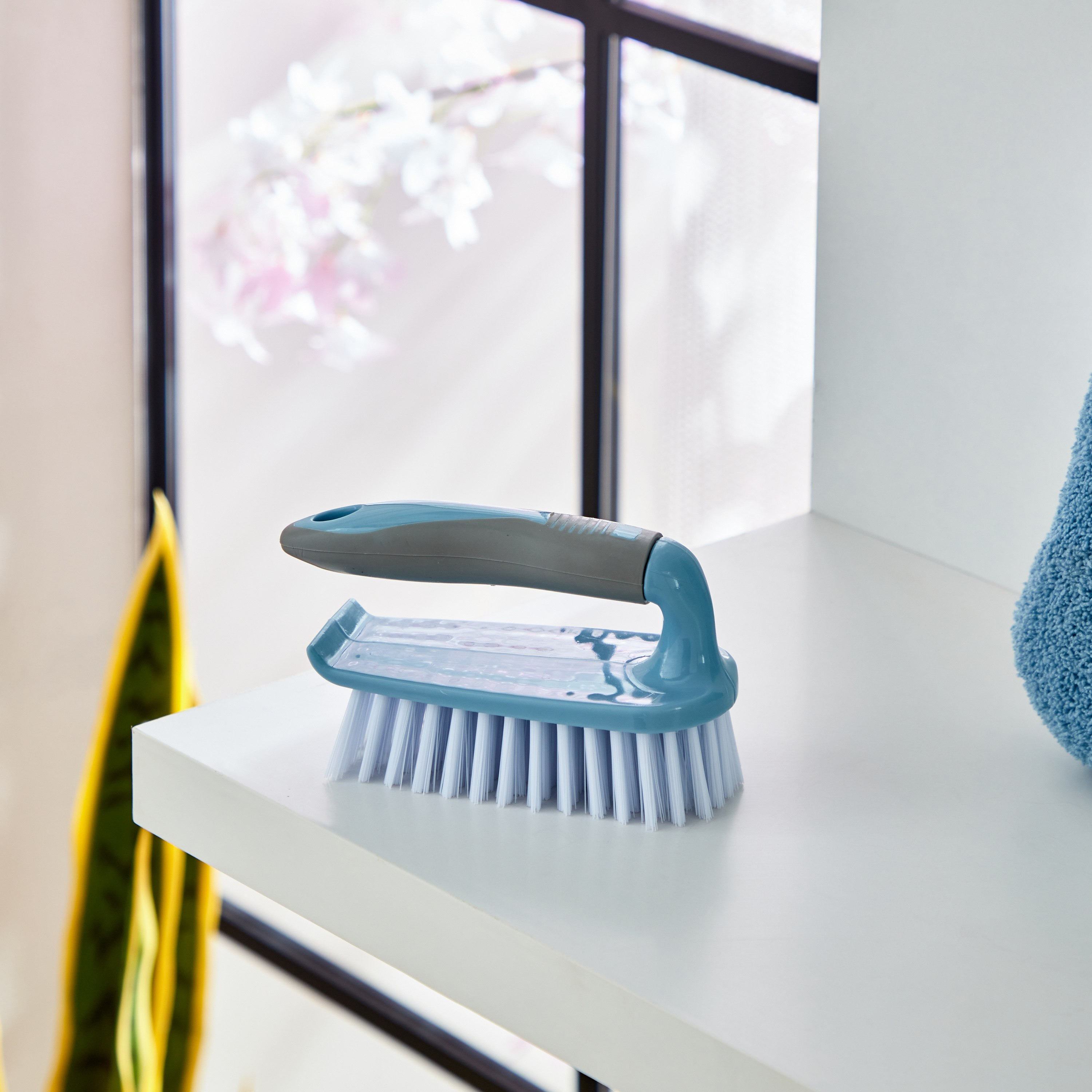 فرشاة تقشير من ألينا - 15 سم-hbxbathroom-laundry-cleaningaccessories-image-1