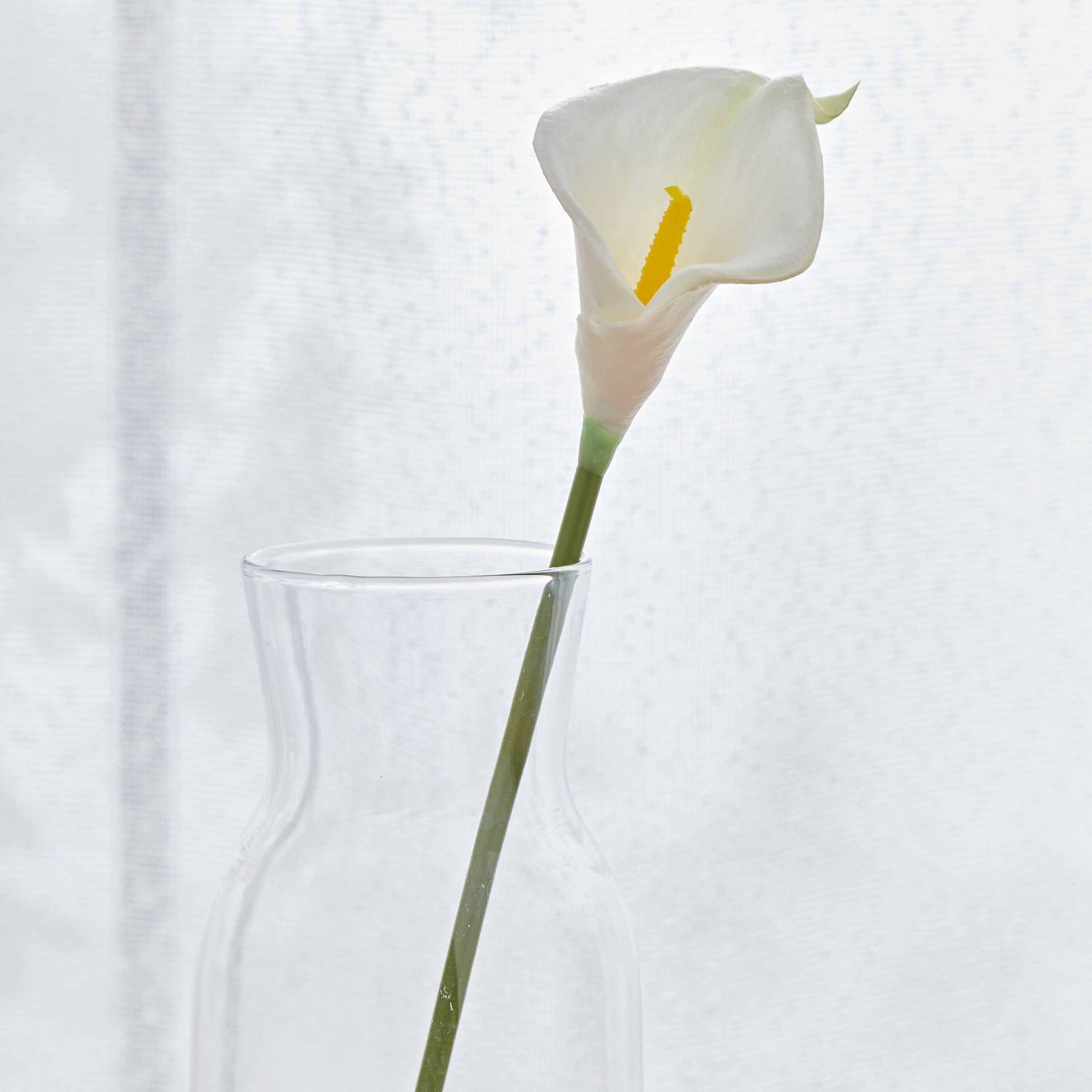 جذع زهرة ليلي كالا من آريا - 36 سم-hbxdecorandfurnishings-homeaccessories-artificialflowersandplants-image-2