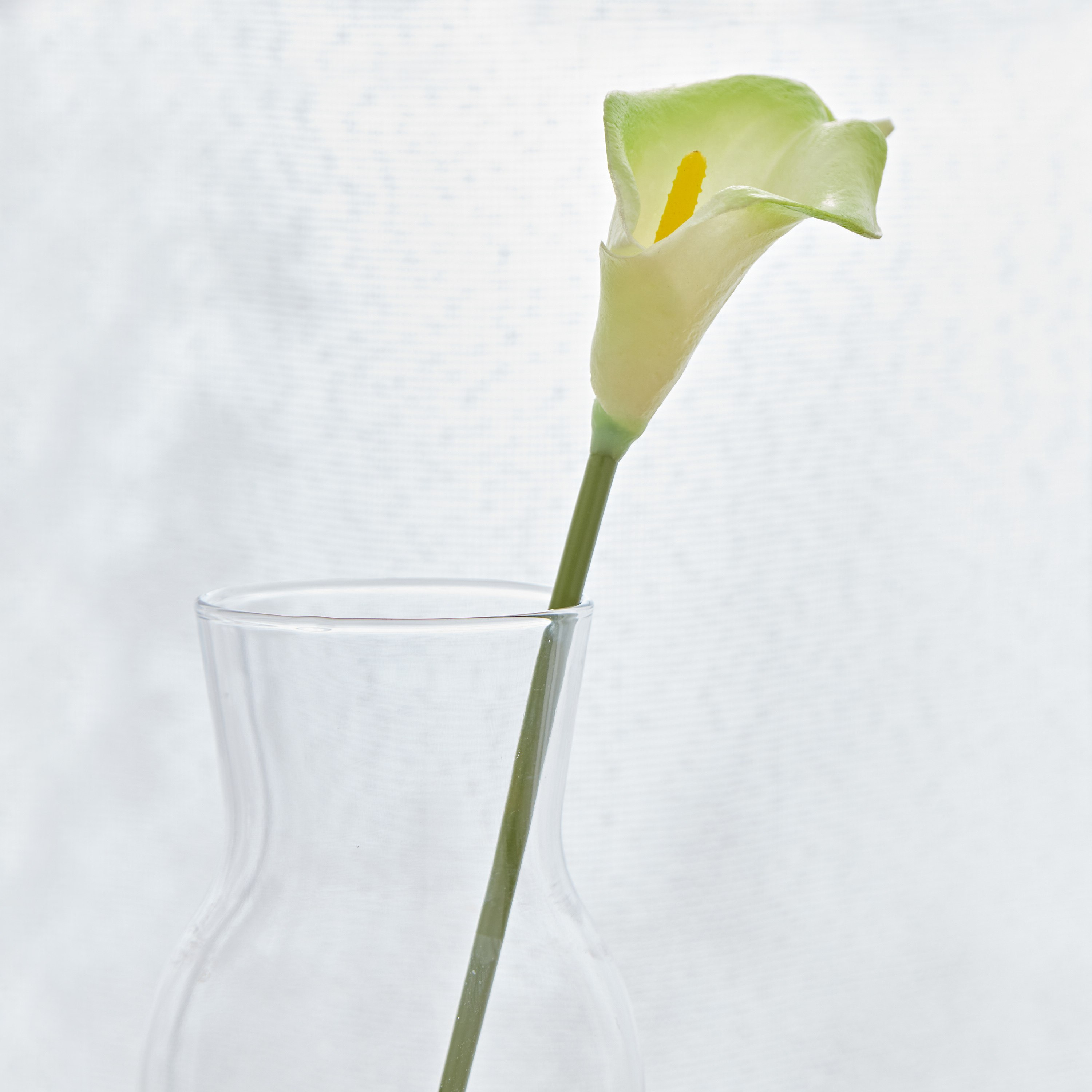 جذع زهرة ليلي كالا من آريا - 36 سم-hbxdecorandfurnishings-homeaccessories-artificialflowersandplants-image-2