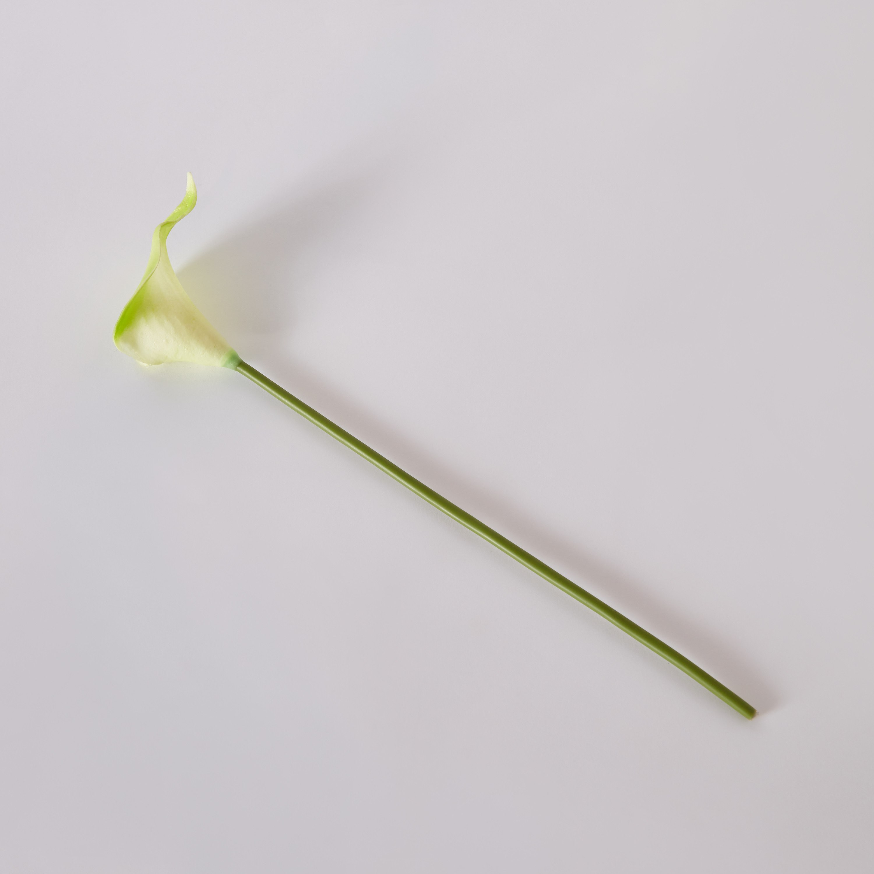 جذع زهرة ليلي كالا من آريا - 36 سم-hbxdecorandfurnishings-homeaccessories-artificialflowersandplants-image-5