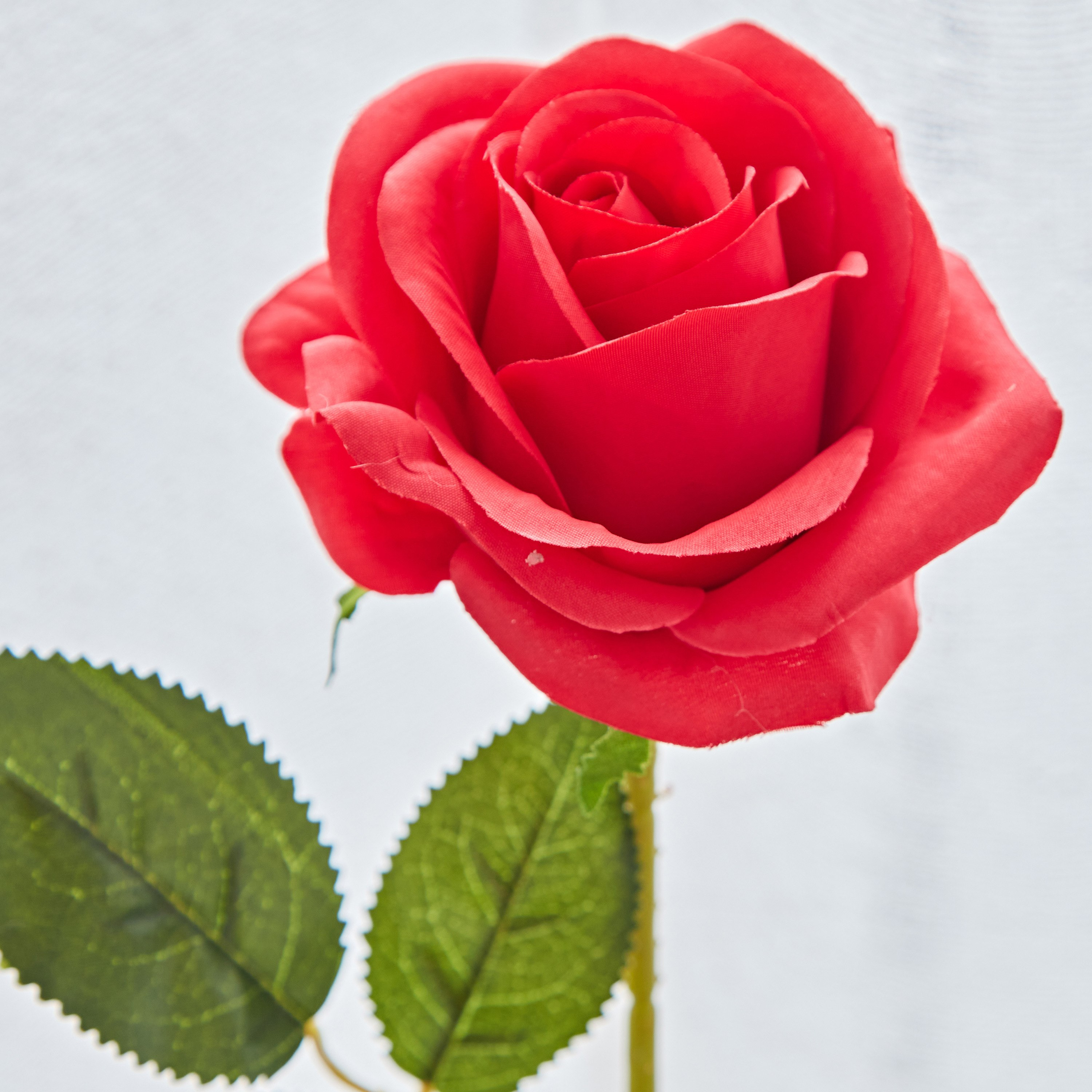 غصن زهرة من آريا - 53 سم-hbxdecorandfurnishings-homeaccessories-artificialflowersandplants-image-3
