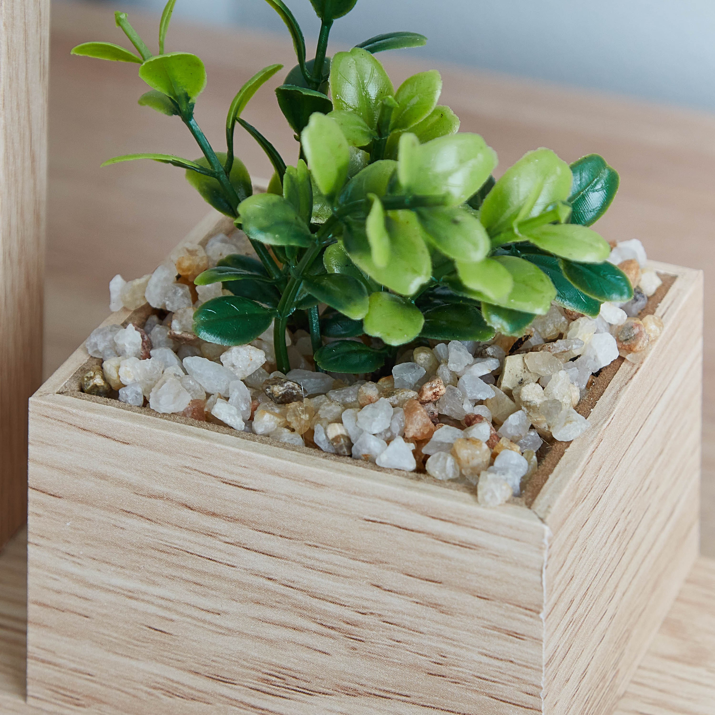 برواز مع إناء زرع من فارو-hbxdiningroom-decorandaccessories-photoframes-image-3
