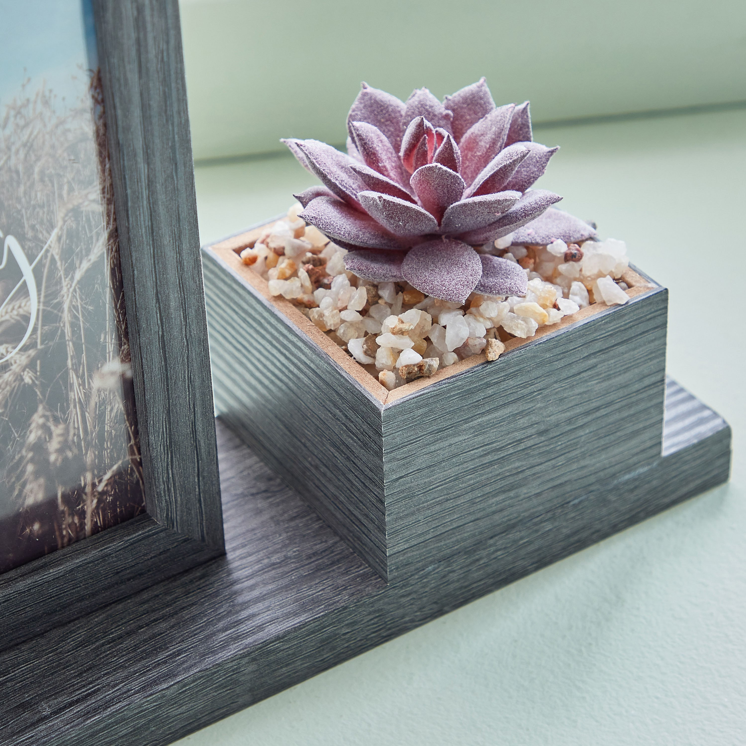 برواز صور فارو مع أصيص من فارو-hbxdiningroom-decorandaccessories-photoframes-image-3
