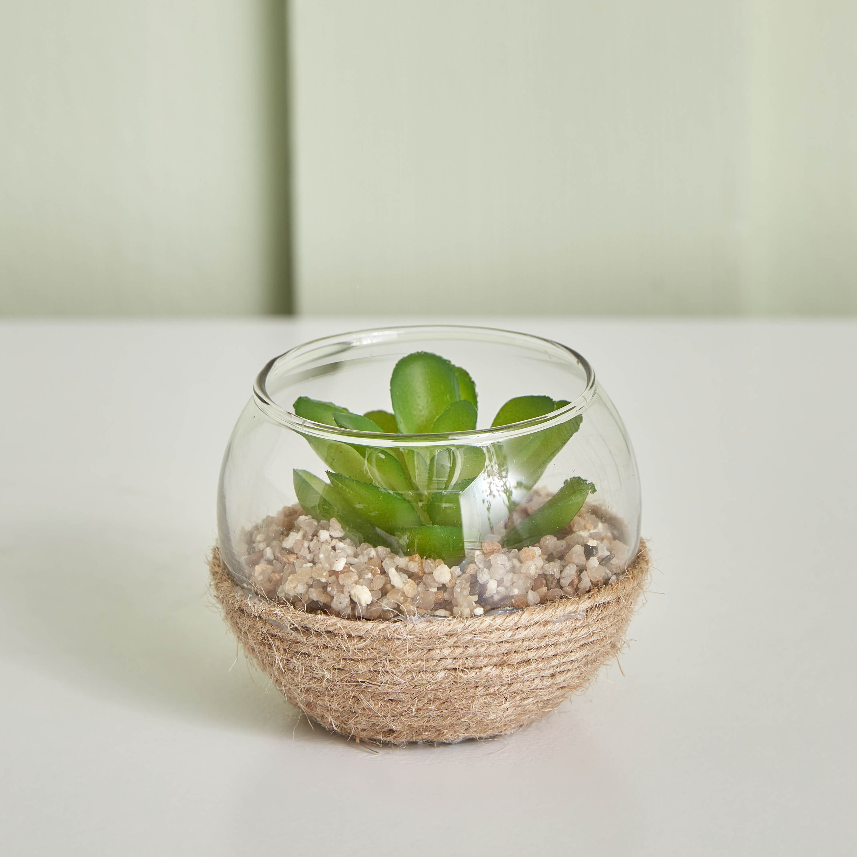 نبات ديستان صغير - 7x5 سم-hbxdecorandfurnishings-homeaccessories-artificialflowersandplants-image-1