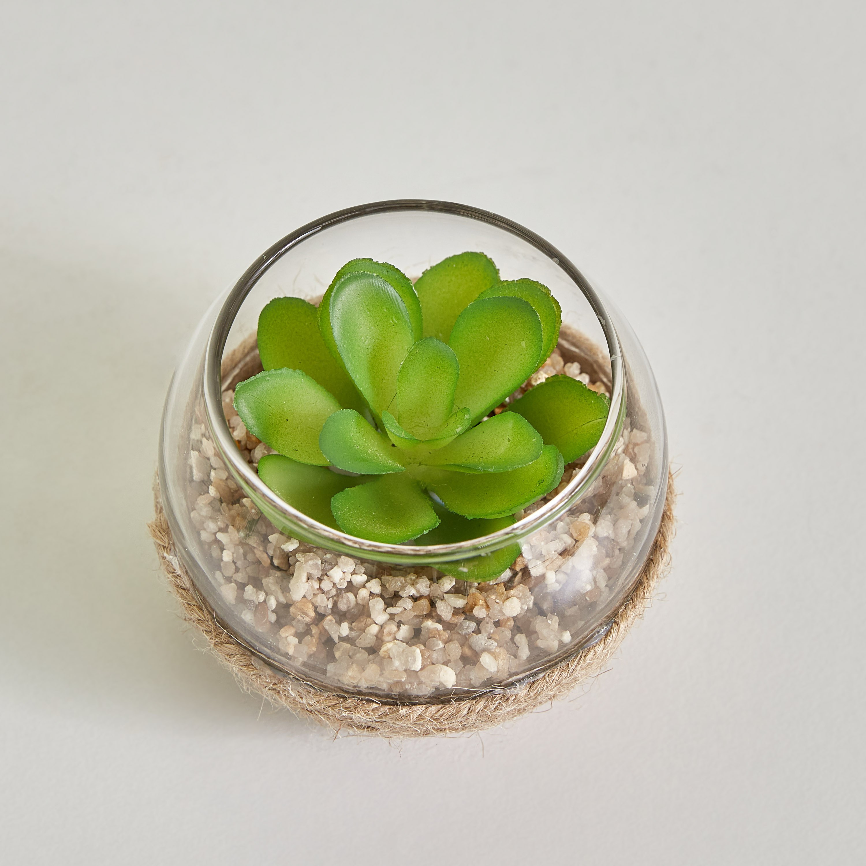 نبات ديستان صغير - 7x5 سم-hbxdecorandfurnishings-homeaccessories-artificialflowersandplants-image-2