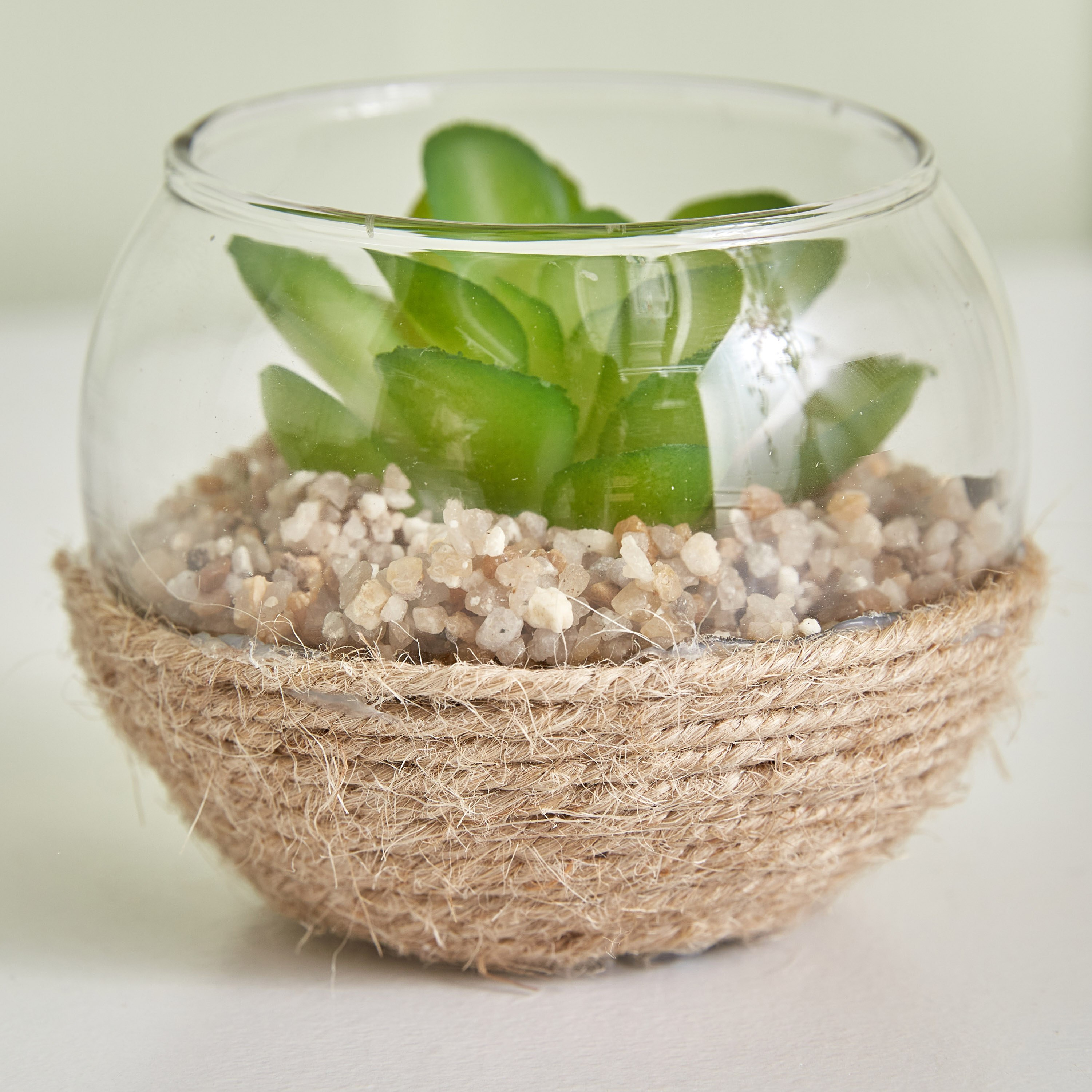 نبات ديستان صغير - 7x5 سم-hbxdecorandfurnishings-homeaccessories-artificialflowersandplants-image-3