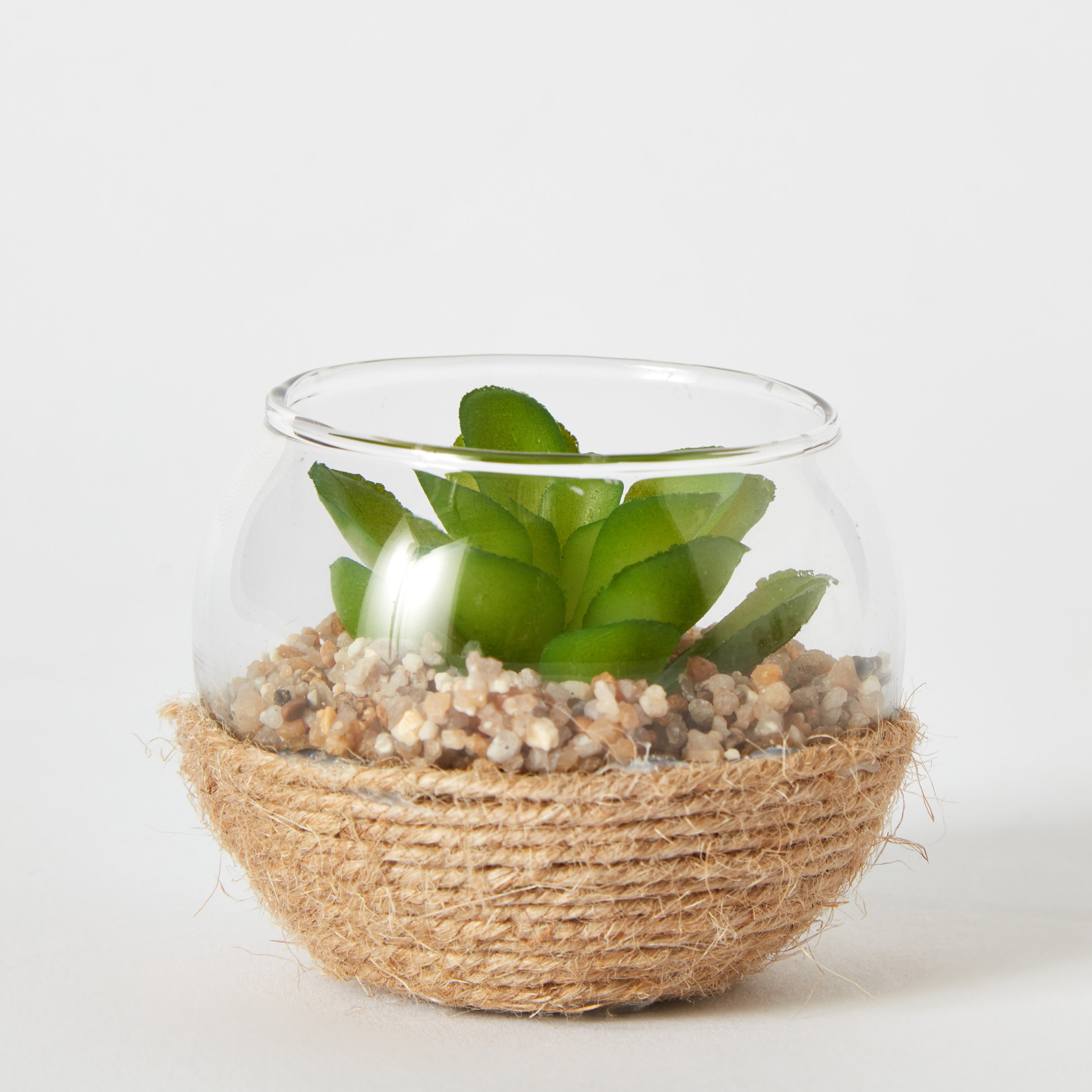 نبات ديستان صغير - 7x5 سم-hbxdecorandfurnishings-homeaccessories-artificialflowersandplants-image-5
