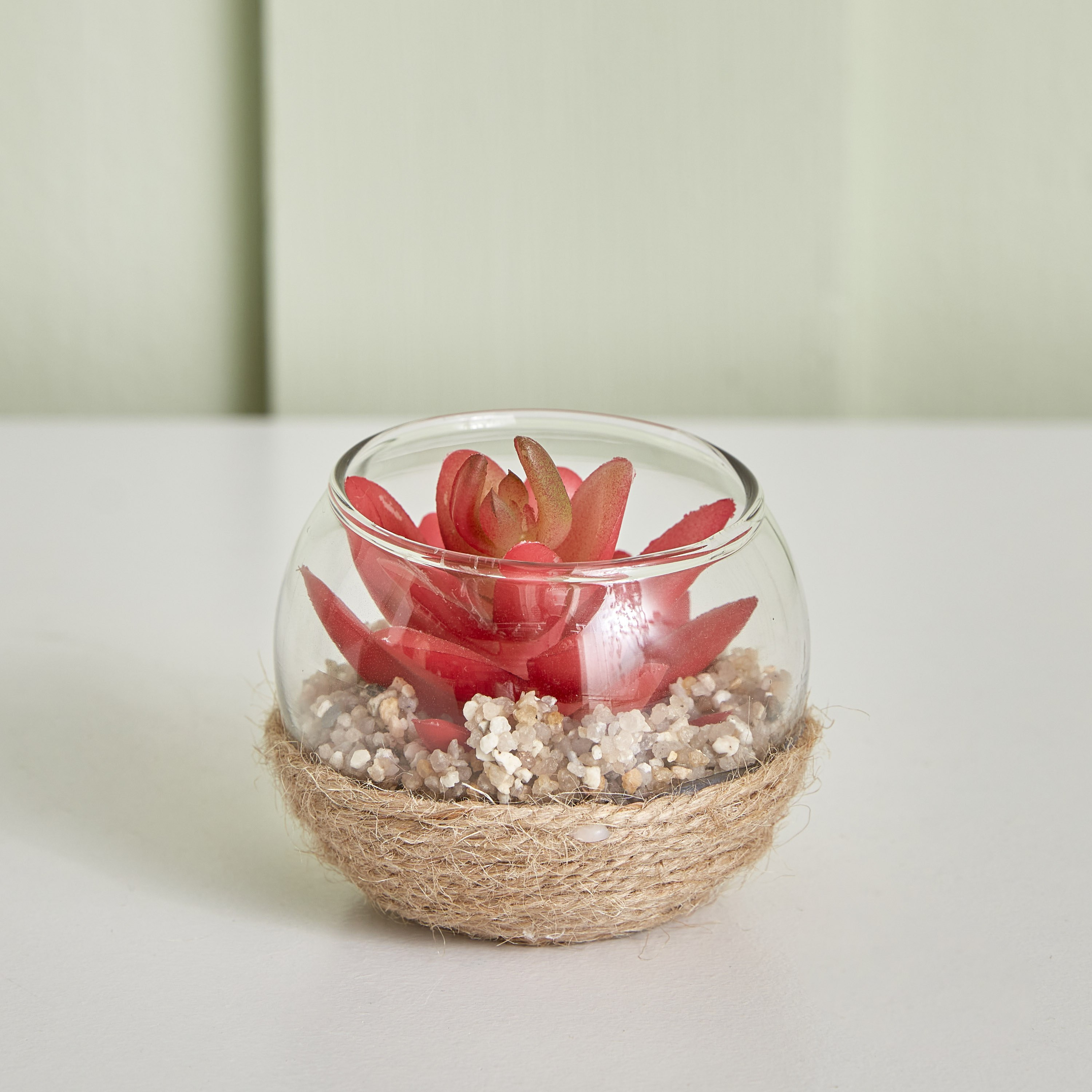 نبات ديستان صغير - 7x5 سم-hbxdecorandfurnishings-homeaccessories-artificialflowersandplants-image-1
