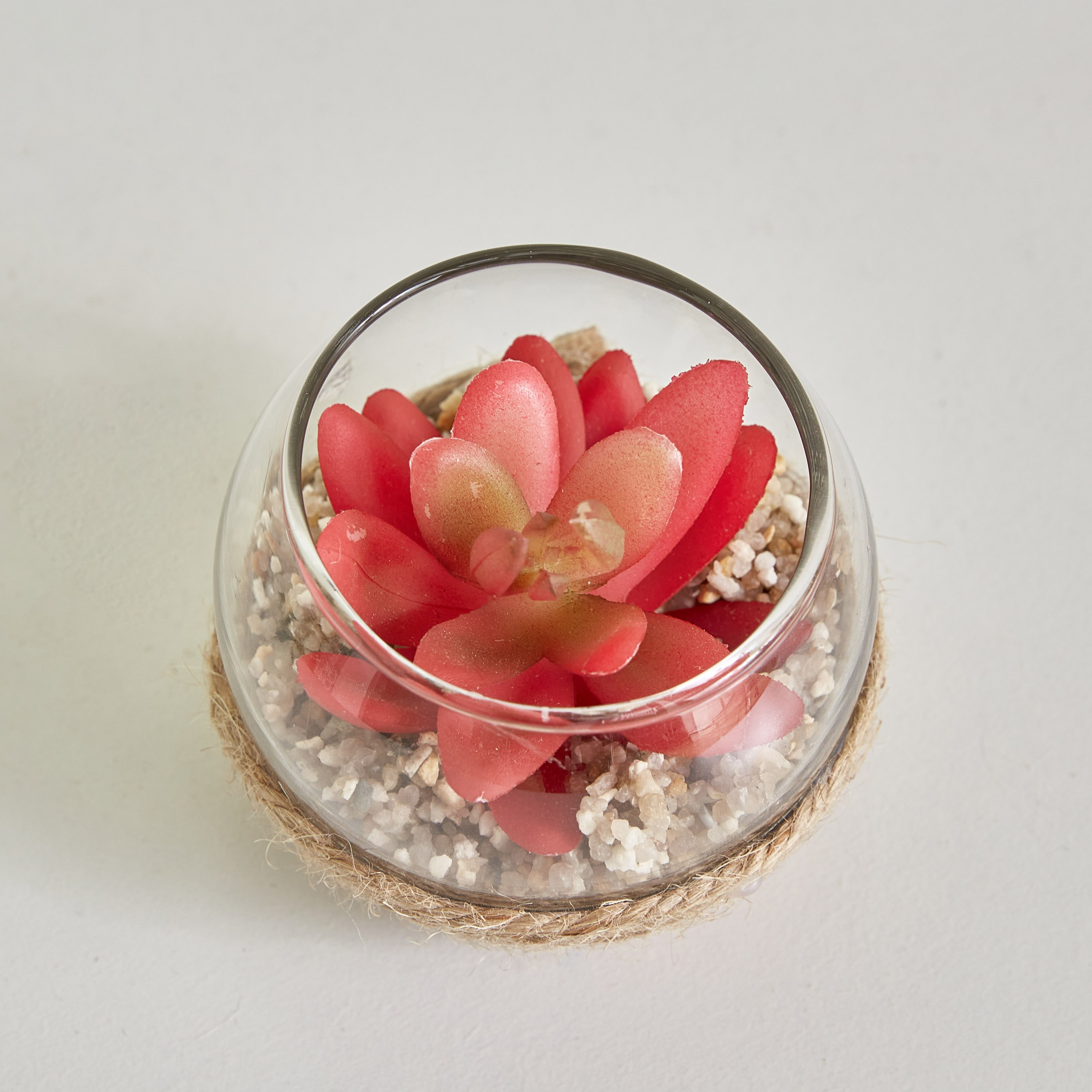 نبات ديستان صغير - 7x5 سم-hbxdecorandfurnishings-homeaccessories-artificialflowersandplants-image-2
