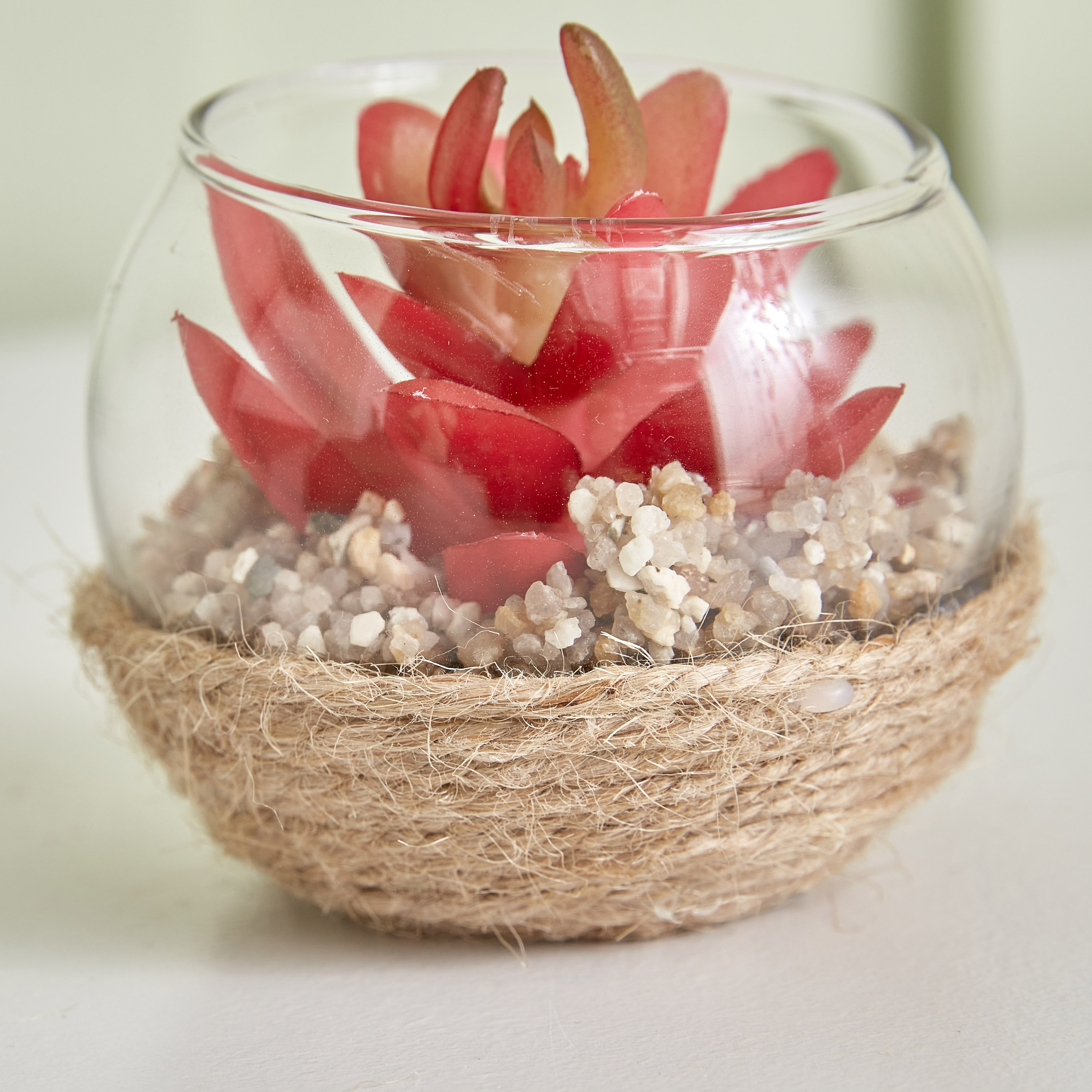 نبات ديستان صغير - 7x5 سم-hbxdecorandfurnishings-homeaccessories-artificialflowersandplants-image-3