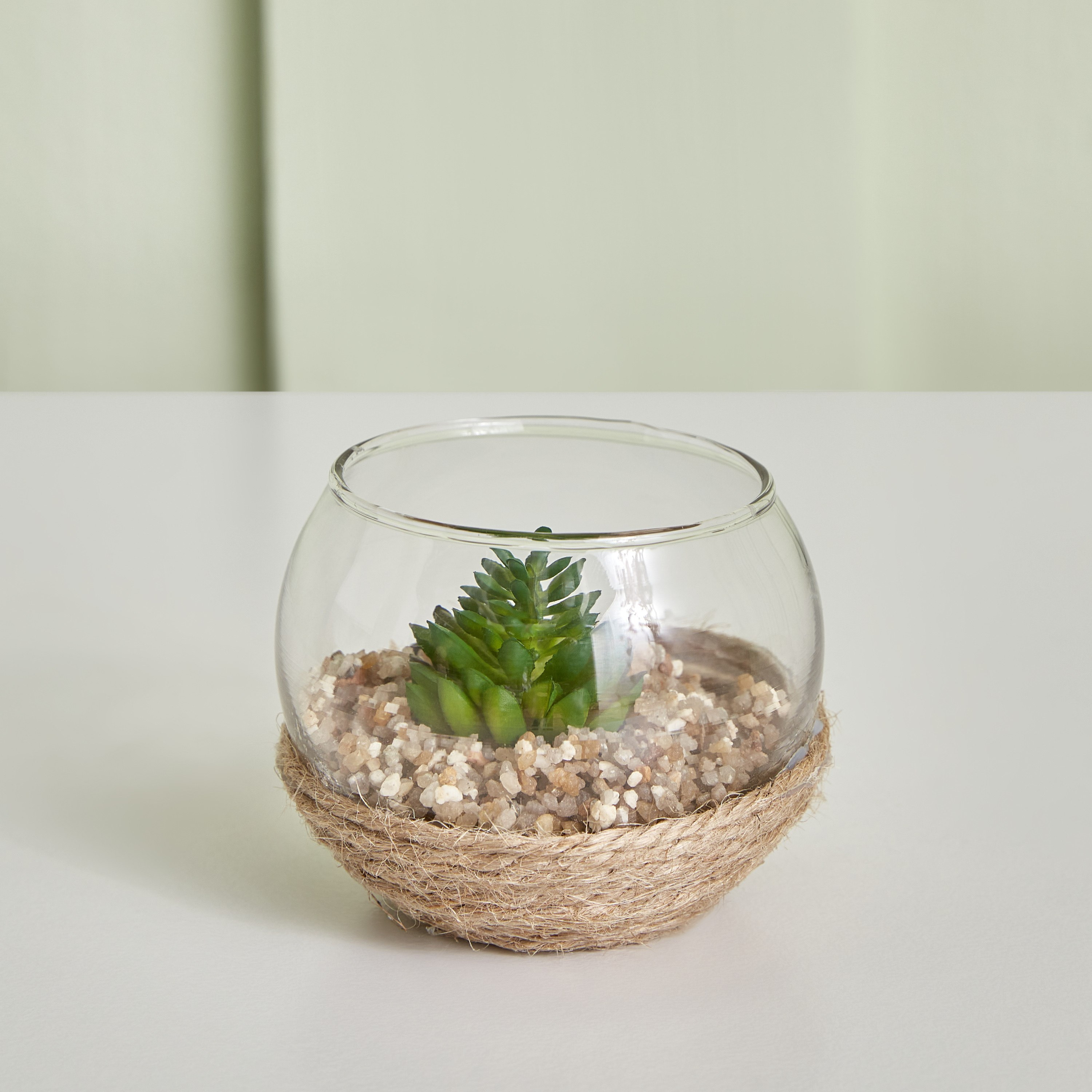 نبات صغير من ديستان - 7x5 سم-hbxdecorandfurnishings-homeaccessories-artificialflowersandplants-image-1