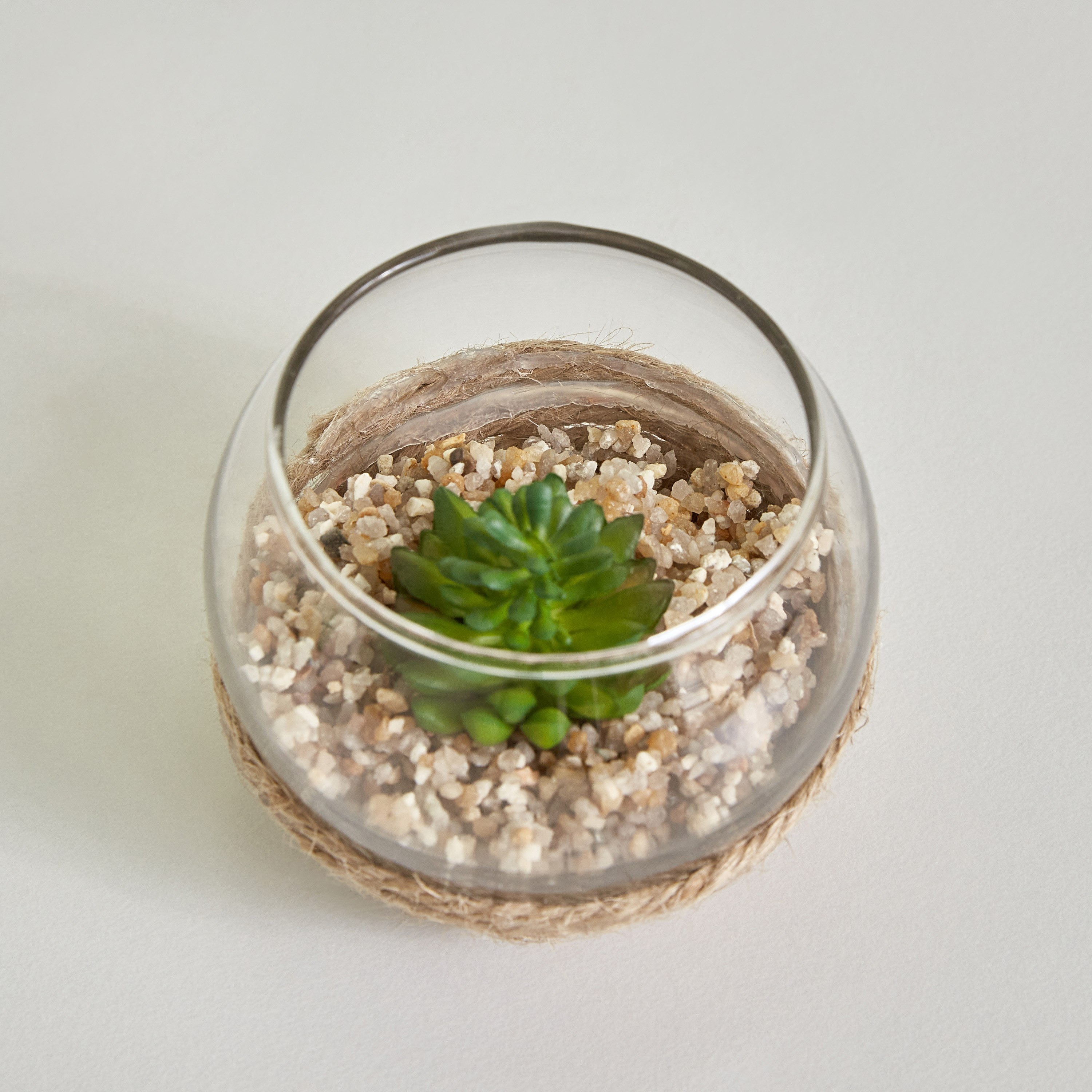 نبات صغير من ديستان - 7x5 سم-hbxdecorandfurnishings-homeaccessories-artificialflowersandplants-image-2