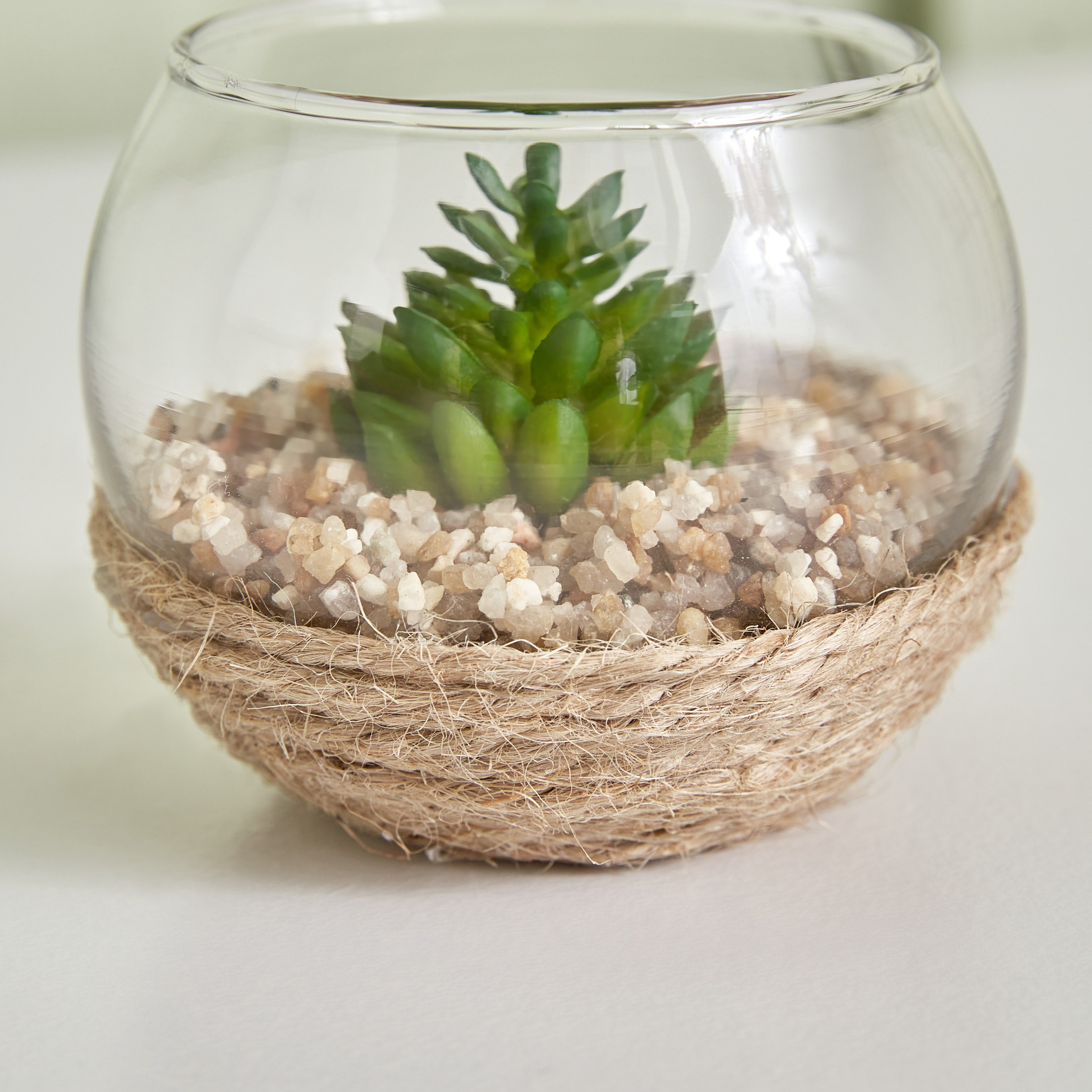 نبات صغير من ديستان - 7x5 سم-hbxdecorandfurnishings-homeaccessories-artificialflowersandplants-image-3