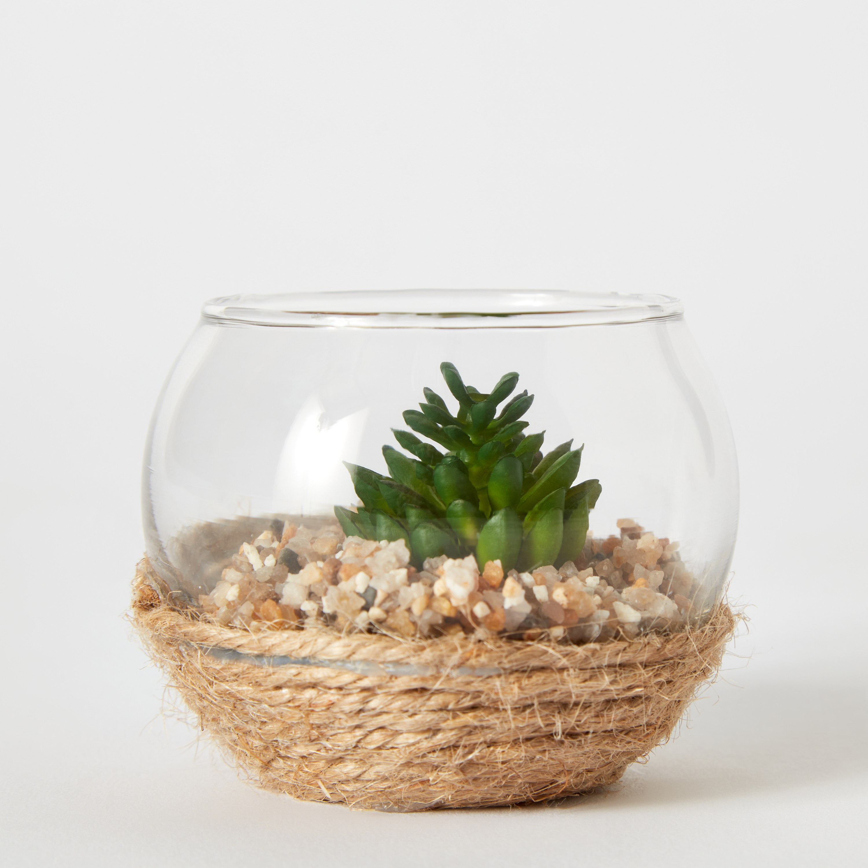 نبات صغير من ديستان - 7x5 سم-hbxdecorandfurnishings-homeaccessories-artificialflowersandplants-image-5