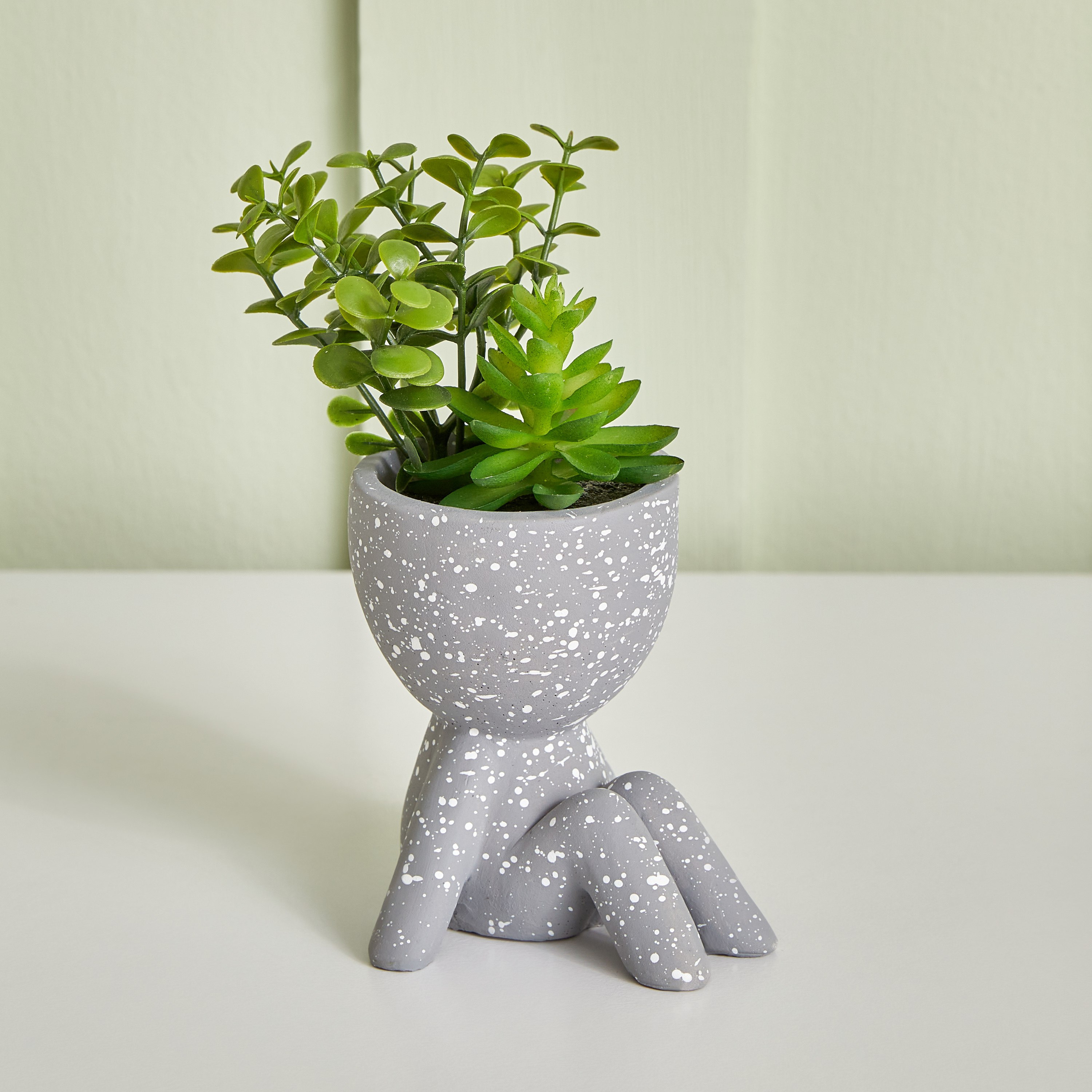 وعاء نباتات صغير من ديستان - 9x17 سم-hbxdecorandfurnishings-homeaccessories-artificialflowersandplants-image-1