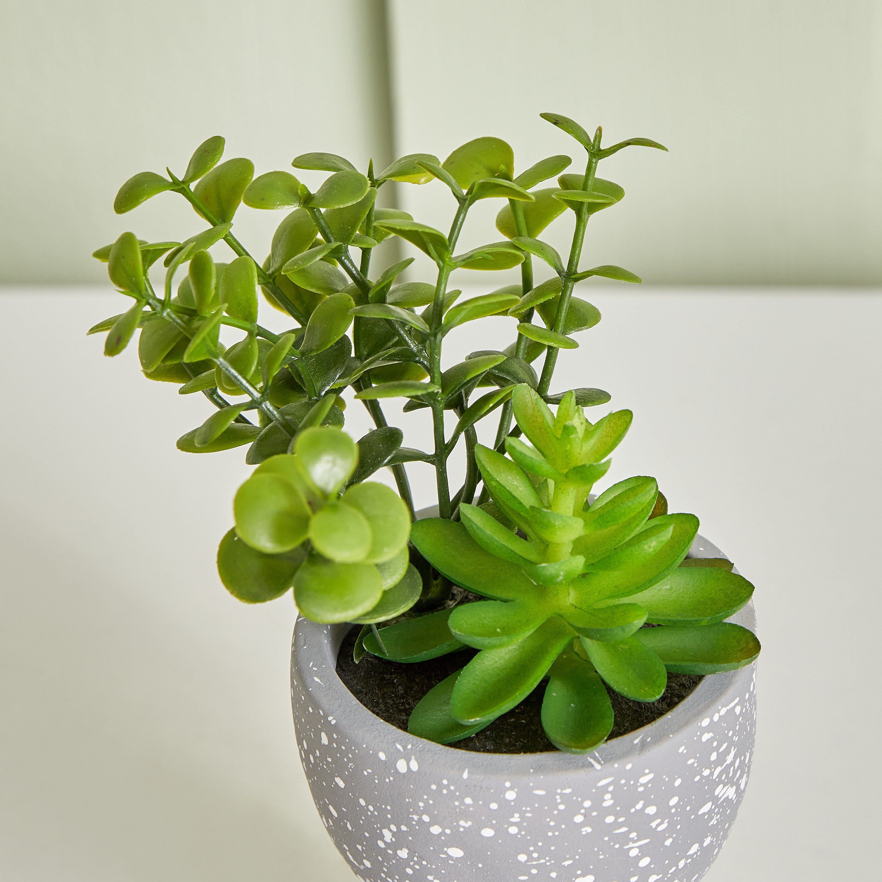 وعاء نباتات صغير من ديستان - 9x17 سم-hbxdecorandfurnishings-homeaccessories-artificialflowersandplants-image-3