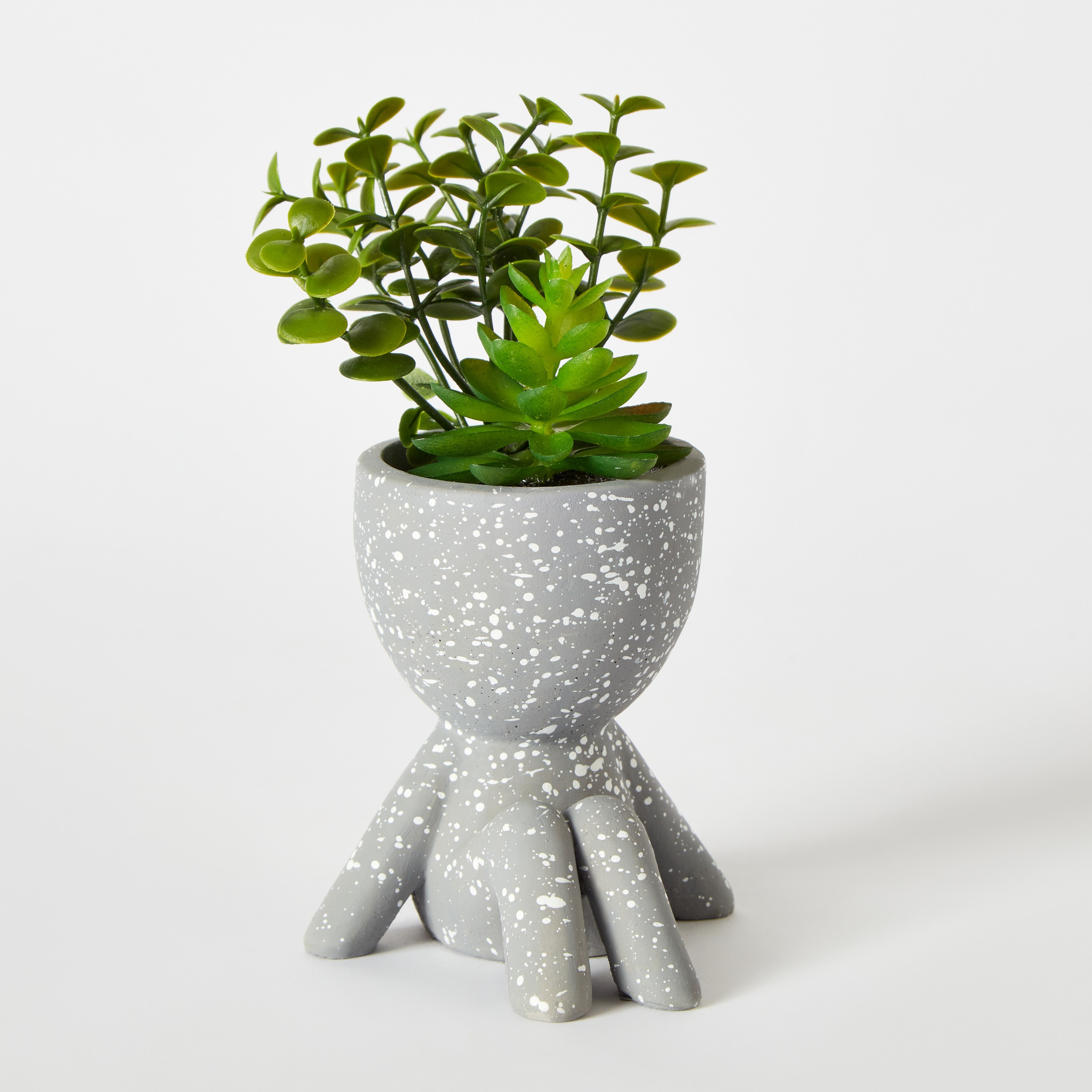 وعاء نباتات صغير من ديستان - 9x17 سم-hbxdecorandfurnishings-homeaccessories-artificialflowersandplants-image-6