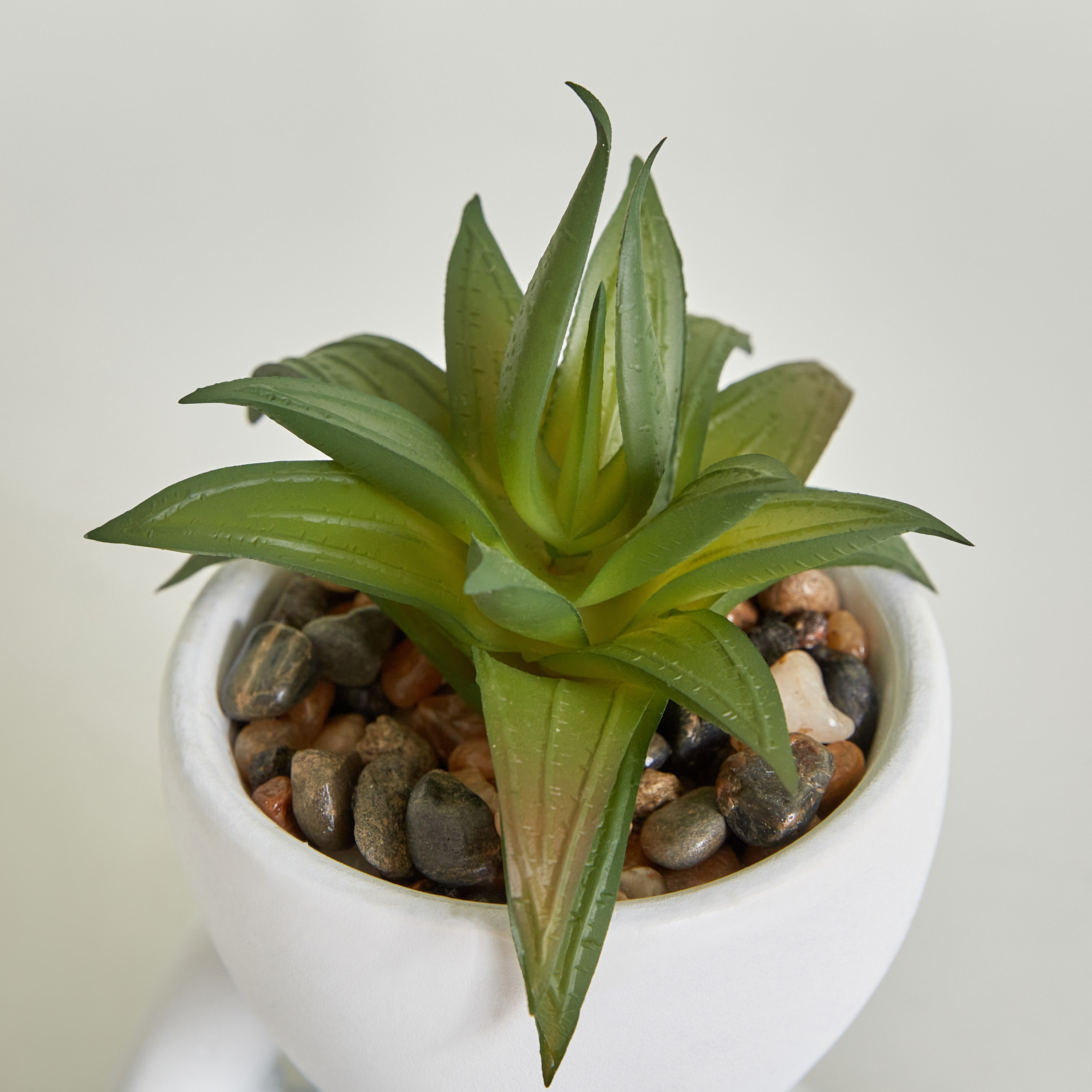 وعاء نباتات صغير من ديستان - 11x7x10.5 سم-hbxdecorandfurnishings-homeaccessories-artificialflowersandplants-image-4