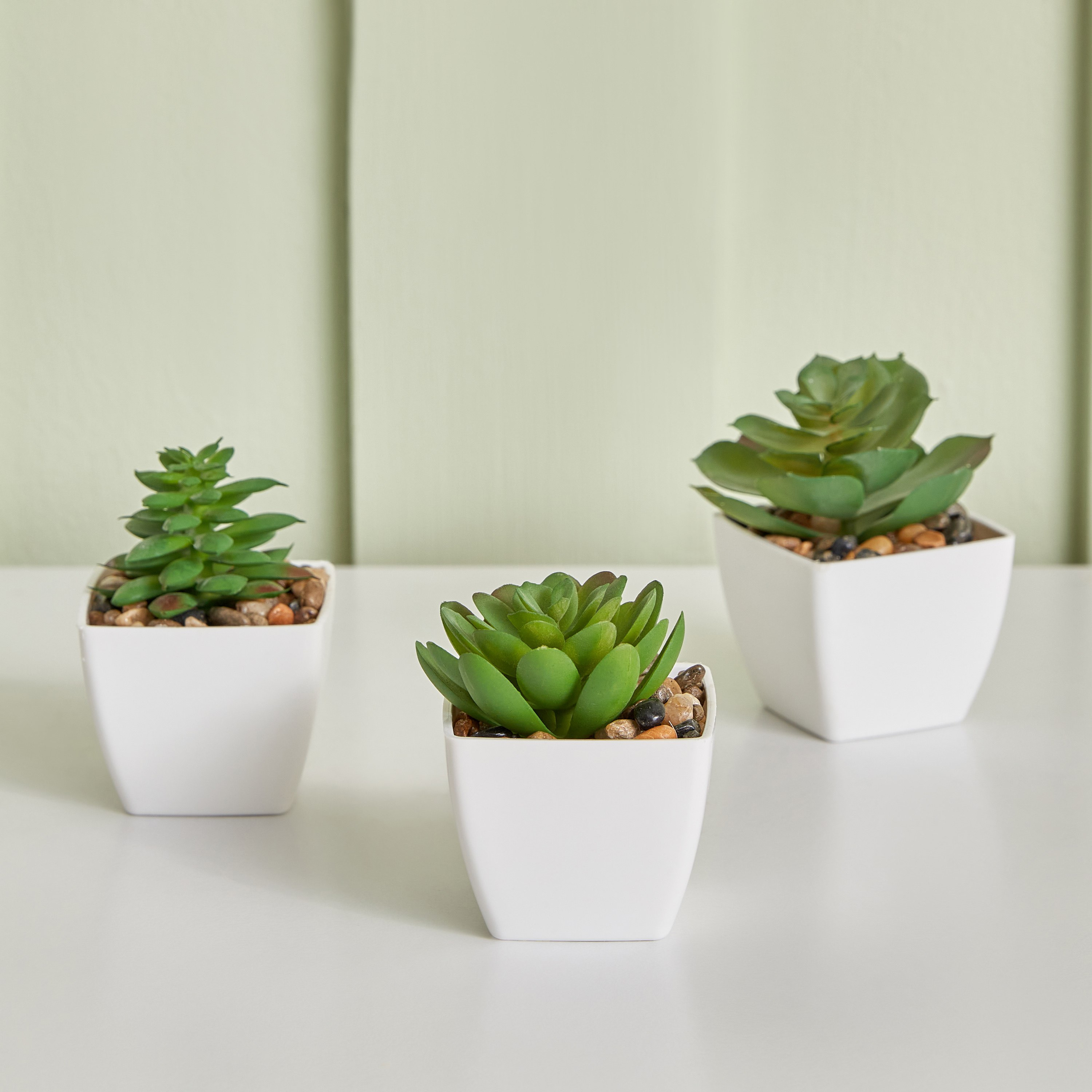 مجموعة نبات عصاري صناعي- 3 قطع من ديستان- 5x5x8 سم-hbxdecorandfurnishings-homeaccessories-artificialflowersandplants-image-2