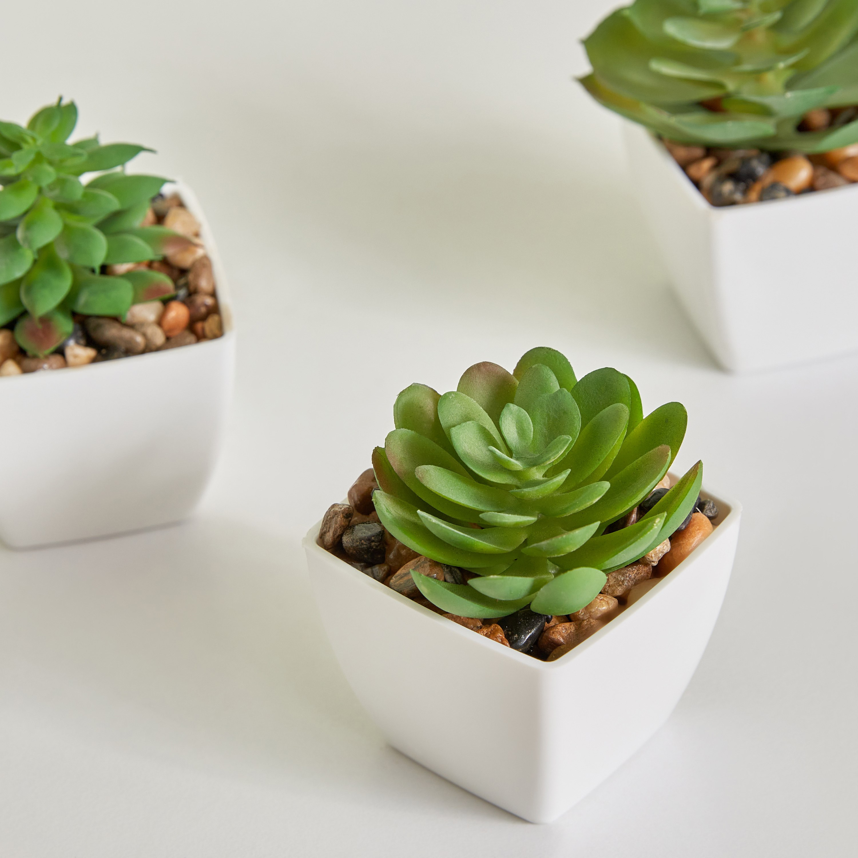 مجموعة نبات عصاري صناعي- 3 قطع من ديستان- 5x5x8 سم-hbxdecorandfurnishings-homeaccessories-artificialflowersandplants-image-3