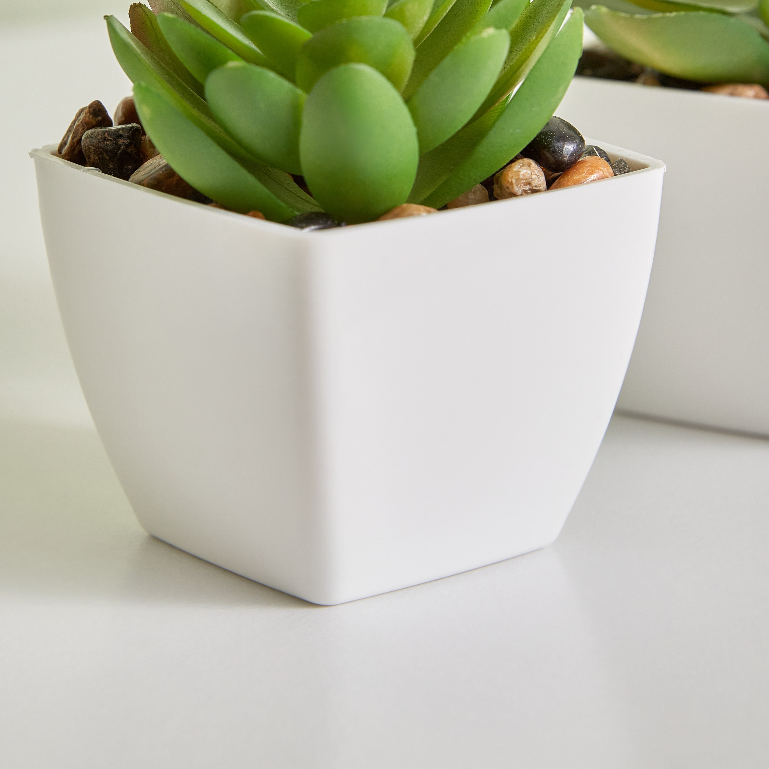 مجموعة نبات عصاري صناعي- 3 قطع من ديستان- 5x5x8 سم-hbxdecorandfurnishings-homeaccessories-artificialflowersandplants-image-4