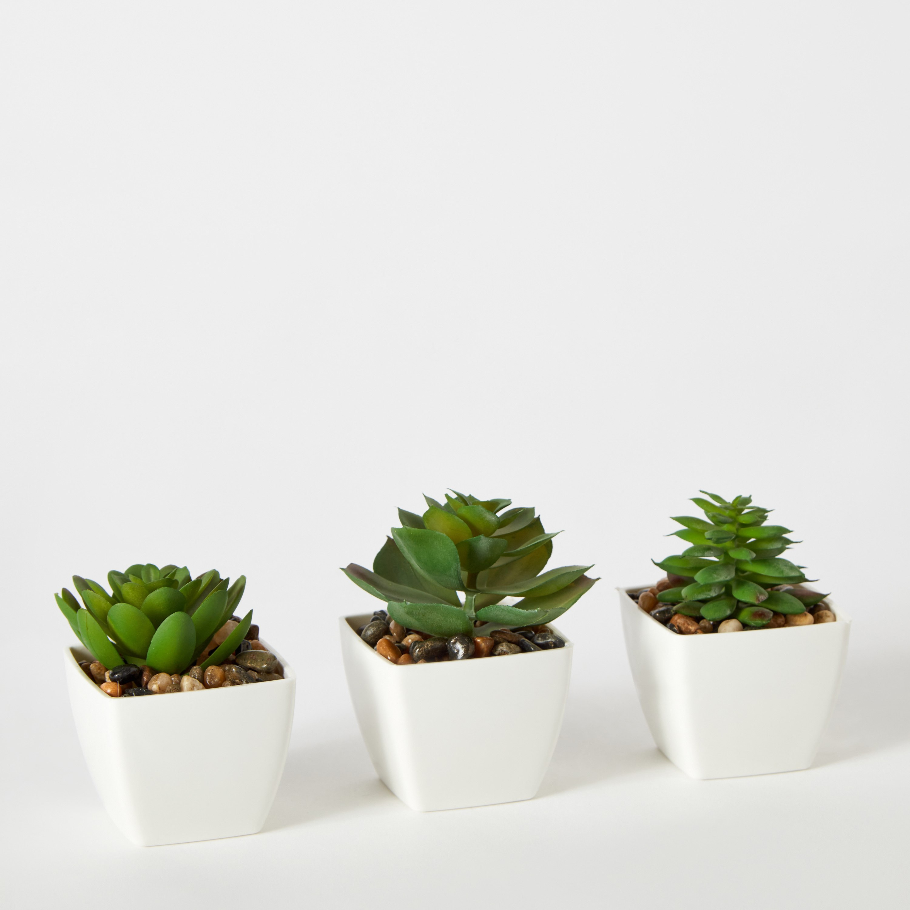 مجموعة نبات عصاري صناعي- 3 قطع من ديستان- 5x5x8 سم-hbxdecorandfurnishings-homeaccessories-artificialflowersandplants-image-6