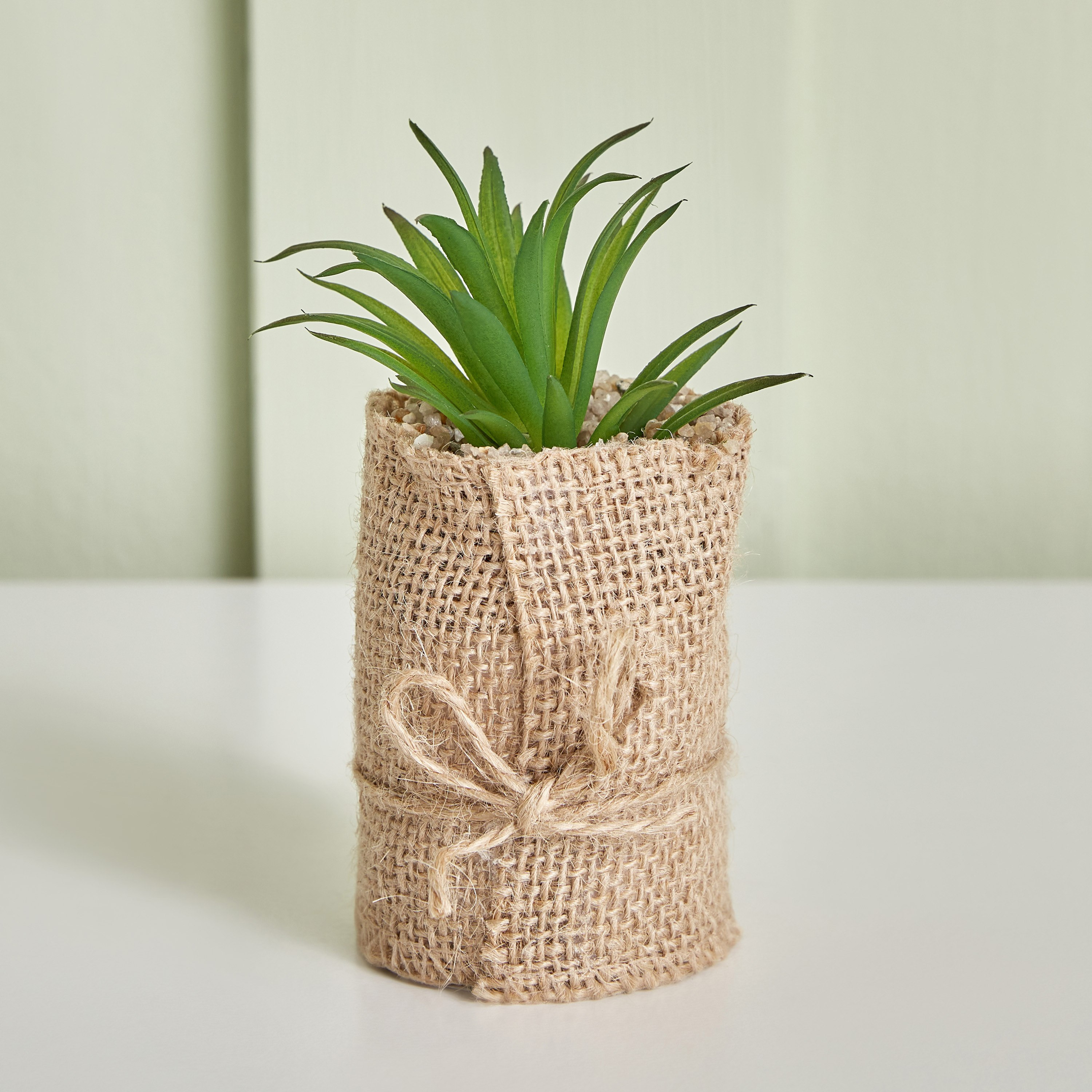 Destan Succulent Plant with Jute Pot - 5x8 cm-hbxdecorandfurnishings-homeaccessories-artificialflowersandplants-image-1