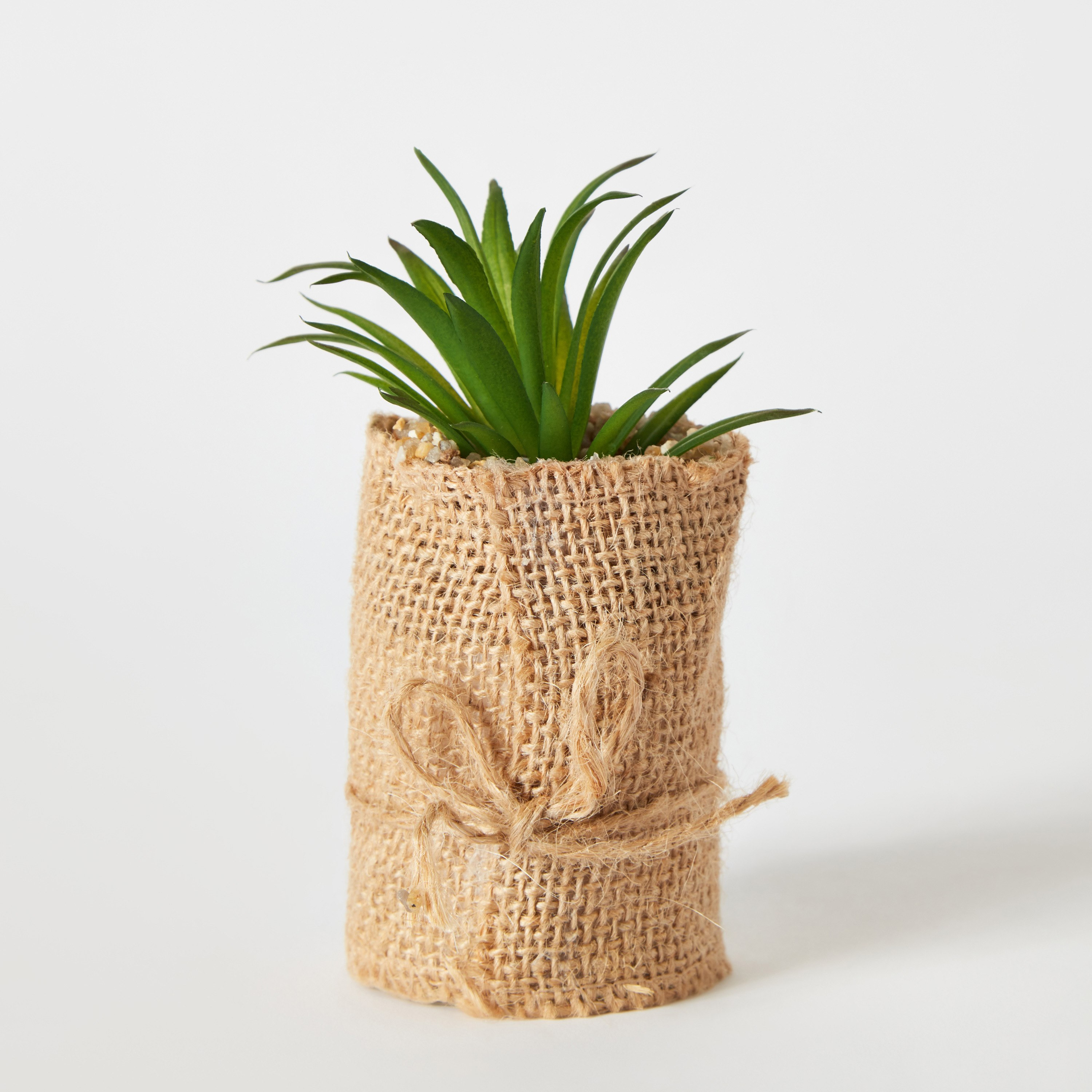 Destan Succulent Plant with Jute Pot - 5x8 cm-hbxdecorandfurnishings-homeaccessories-artificialflowersandplants-image-5