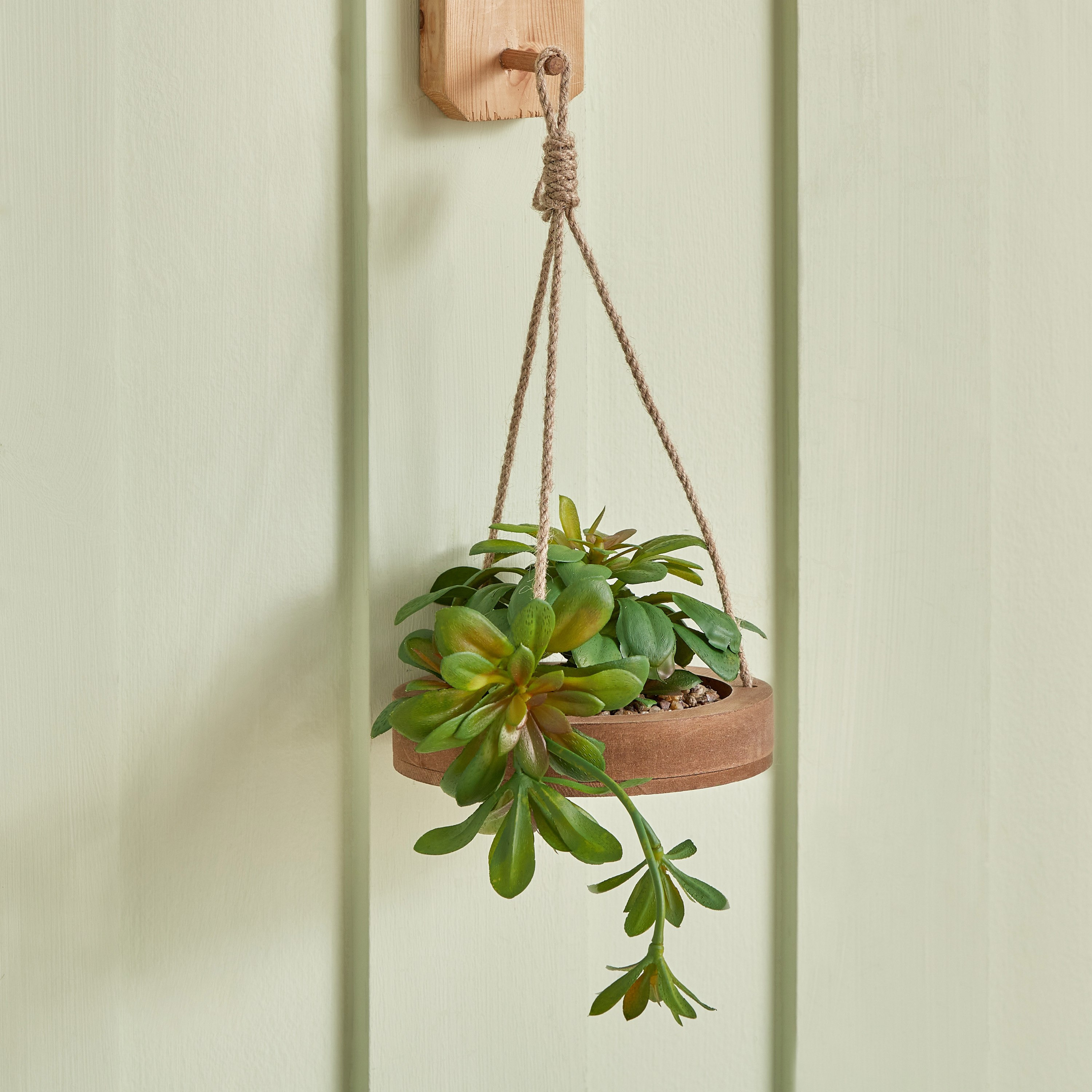 نبتة ديستان معلّقة بحبل الجوت - 14x3 سم-hbxdecorandfurnishings-homeaccessories-artificialflowersandplants-image-1