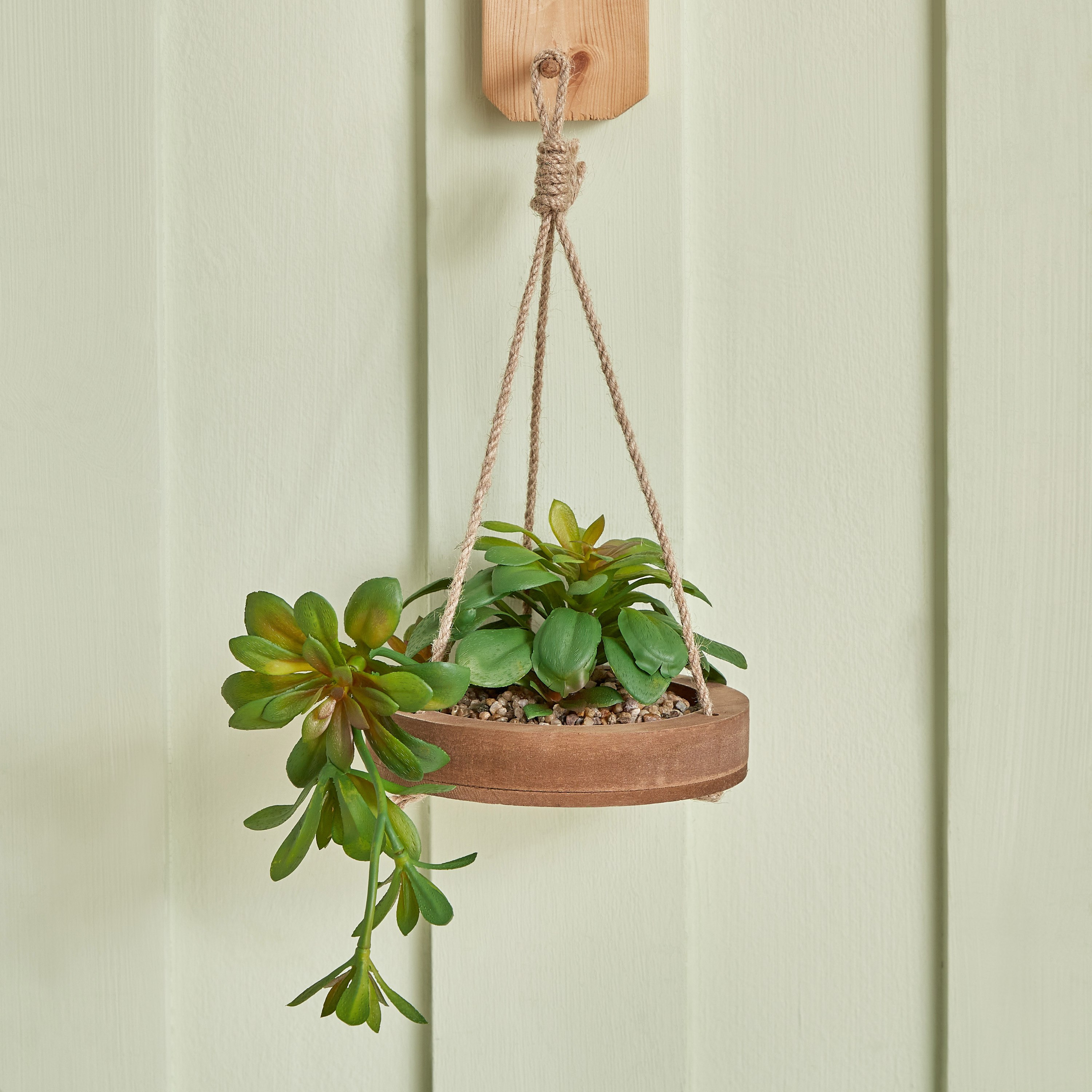نبتة ديستان معلّقة بحبل الجوت - 14x3 سم-hbxdecorandfurnishings-homeaccessories-artificialflowersandplants-image-2