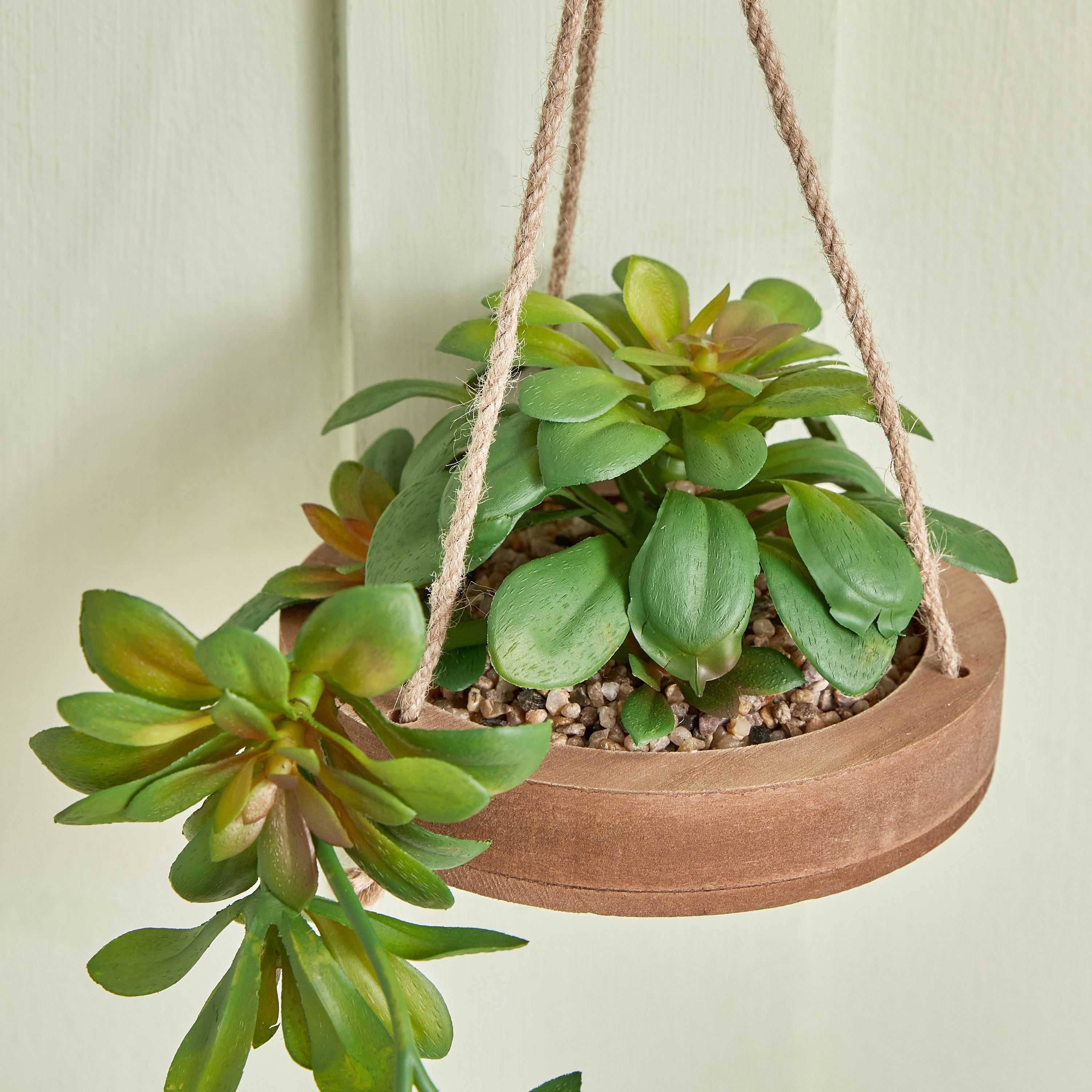 نبتة ديستان معلّقة بحبل الجوت - 14x3 سم-hbxdecorandfurnishings-homeaccessories-artificialflowersandplants-image-3