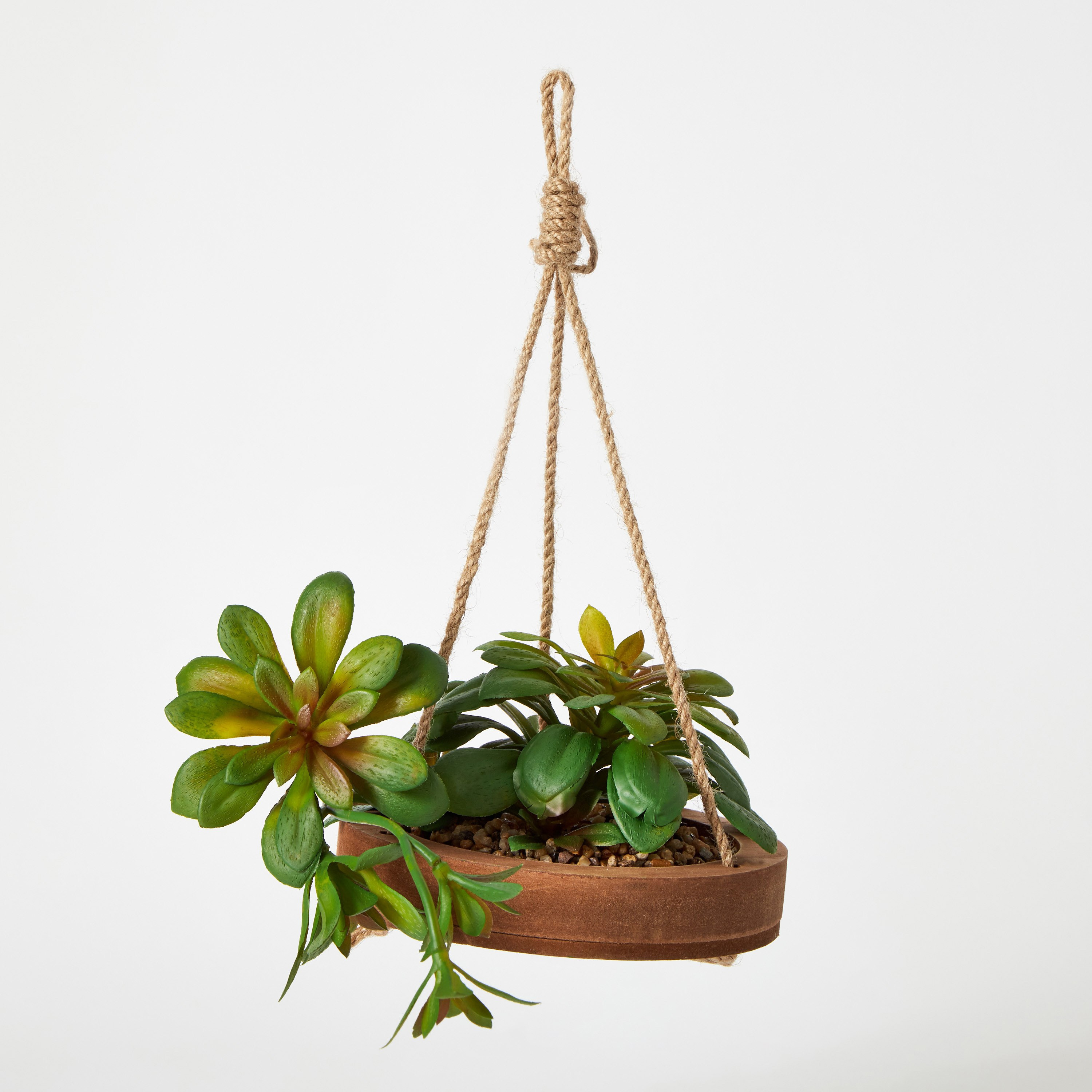 نبتة ديستان معلّقة بحبل الجوت - 14x3 سم-hbxdecorandfurnishings-homeaccessories-artificialflowersandplants-image-6