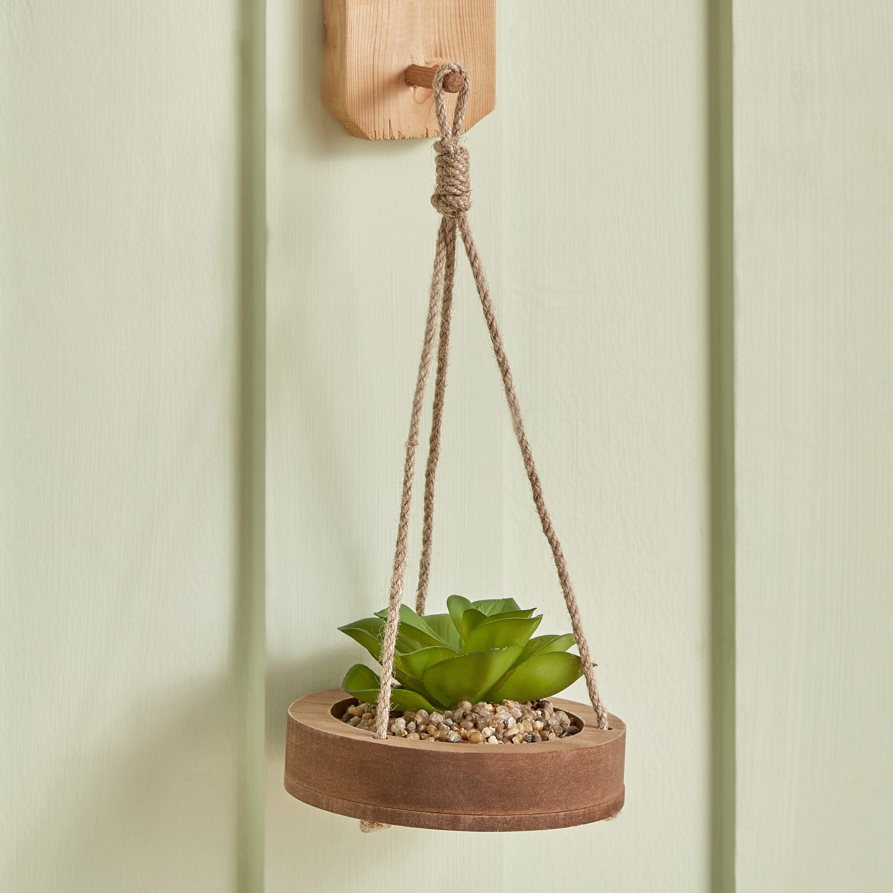 Destan Hanging Sucullent with Jute Rope - 12x3 cm-hbxdecorandfurnishings-homeaccessories-artificialflowersandplants-image-1