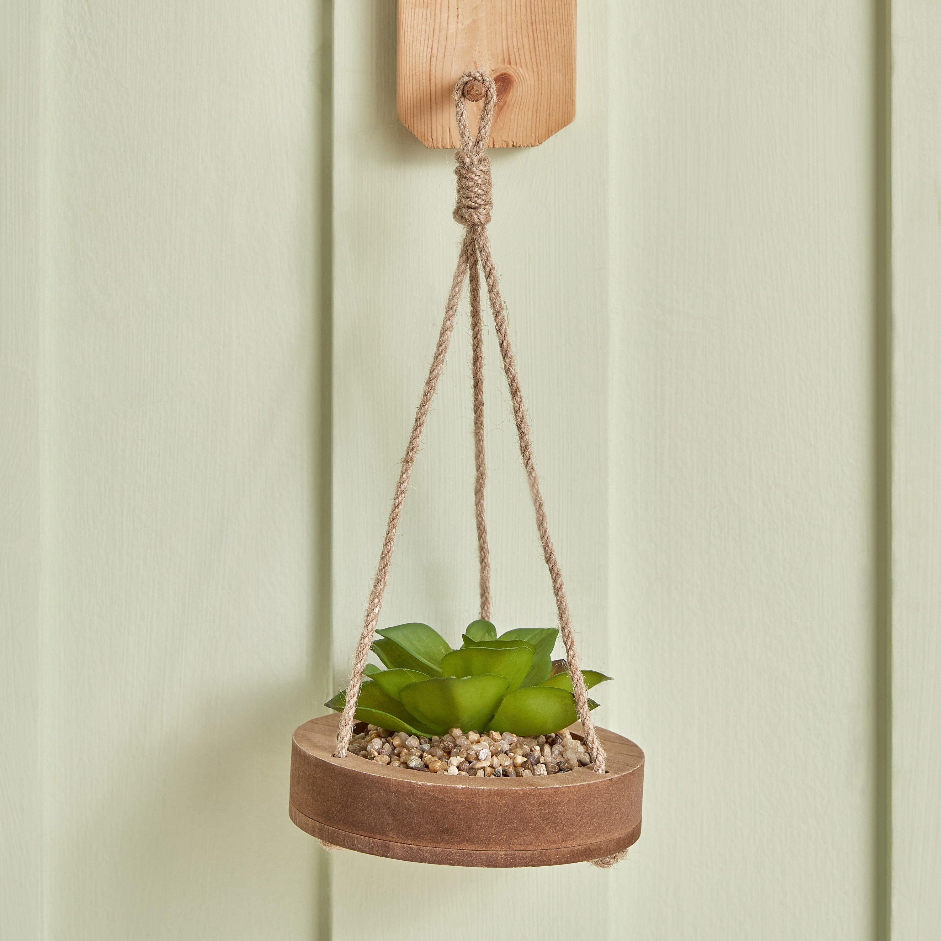 Destan Hanging Sucullent with Jute Rope - 12x3 cm-hbxdecorandfurnishings-homeaccessories-artificialflowersandplants-image-2