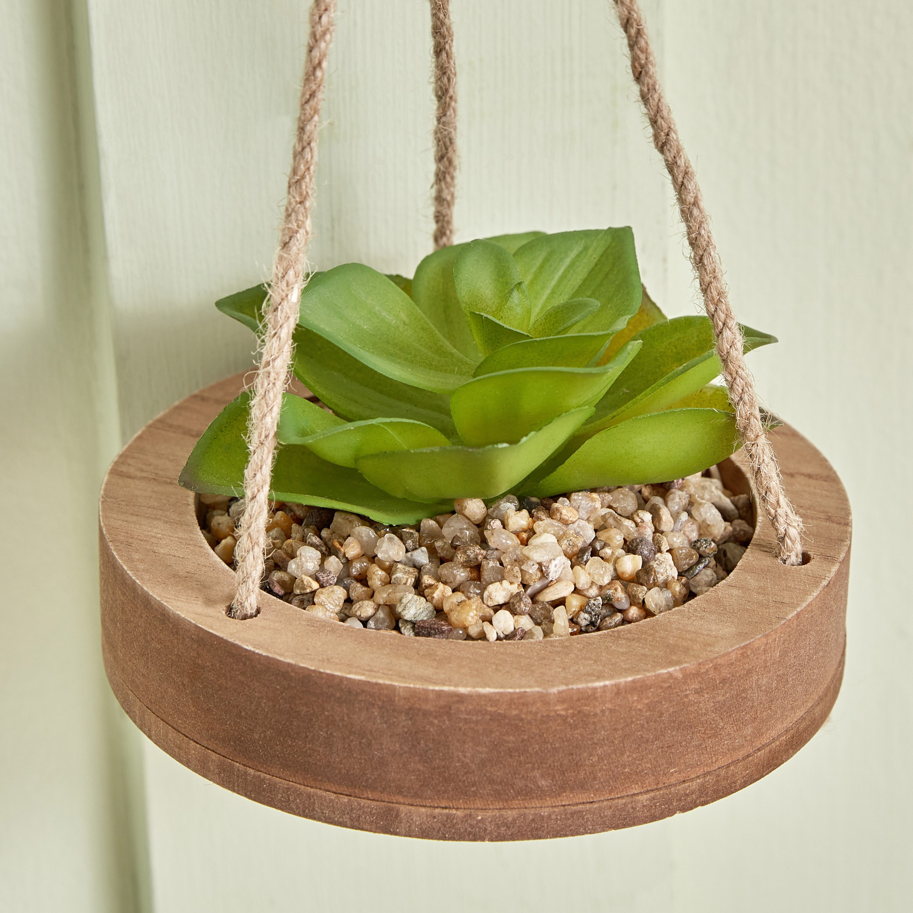 Destan Hanging Sucullent with Jute Rope - 12x3 cm-hbxdecorandfurnishings-homeaccessories-artificialflowersandplants-image-3