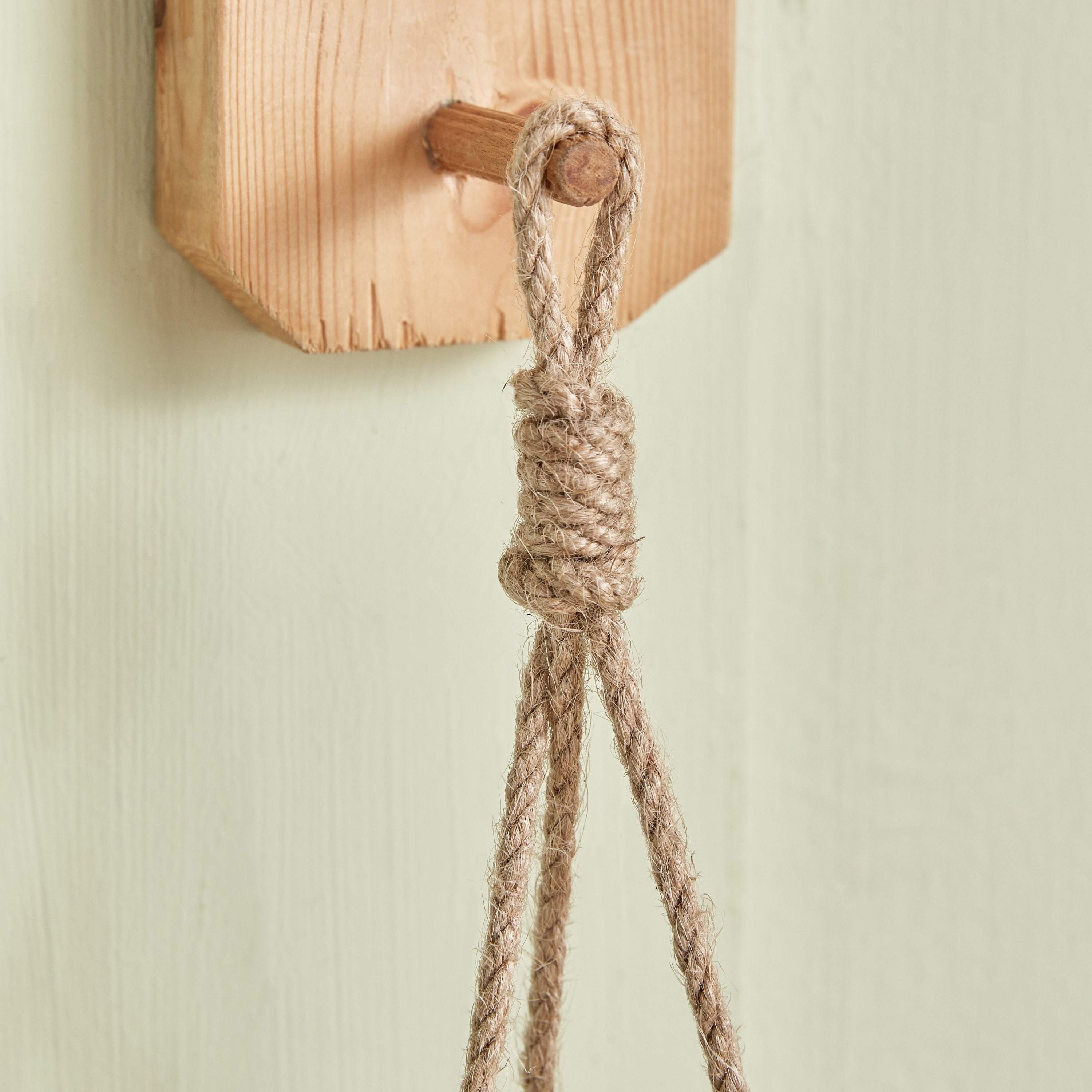 Destan Hanging Sucullent with Jute Rope - 12x3 cm-hbxdecorandfurnishings-homeaccessories-artificialflowersandplants-image-4