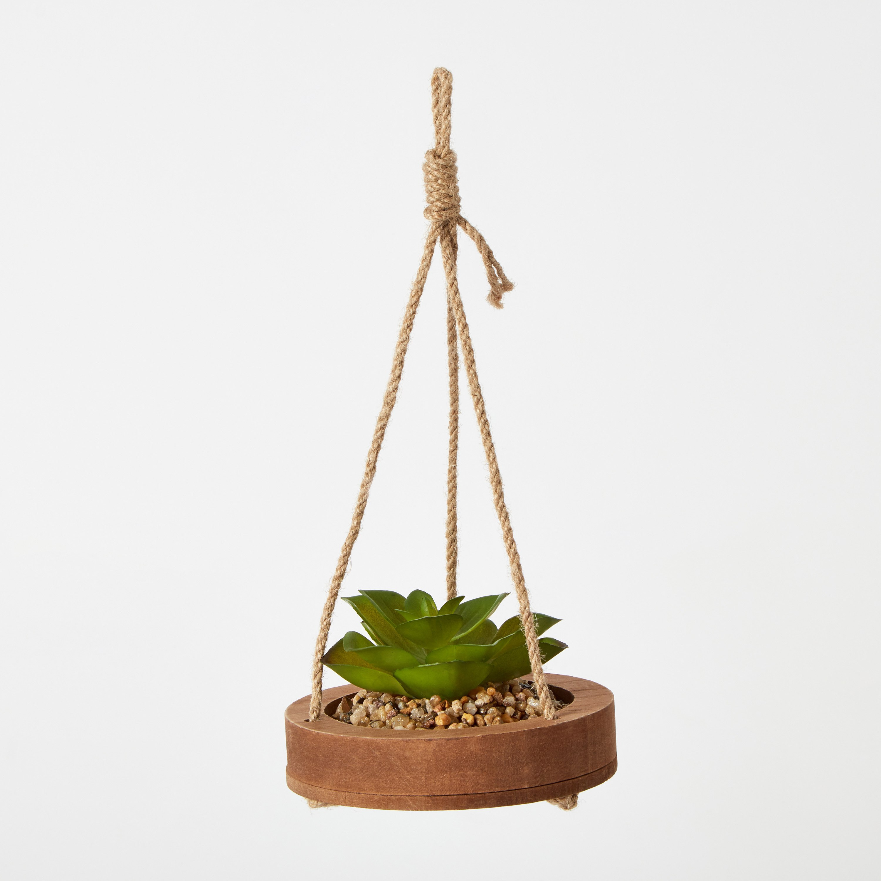 Destan Hanging Sucullent with Jute Rope - 12x3 cm-hbxdecorandfurnishings-homeaccessories-artificialflowersandplants-image-6