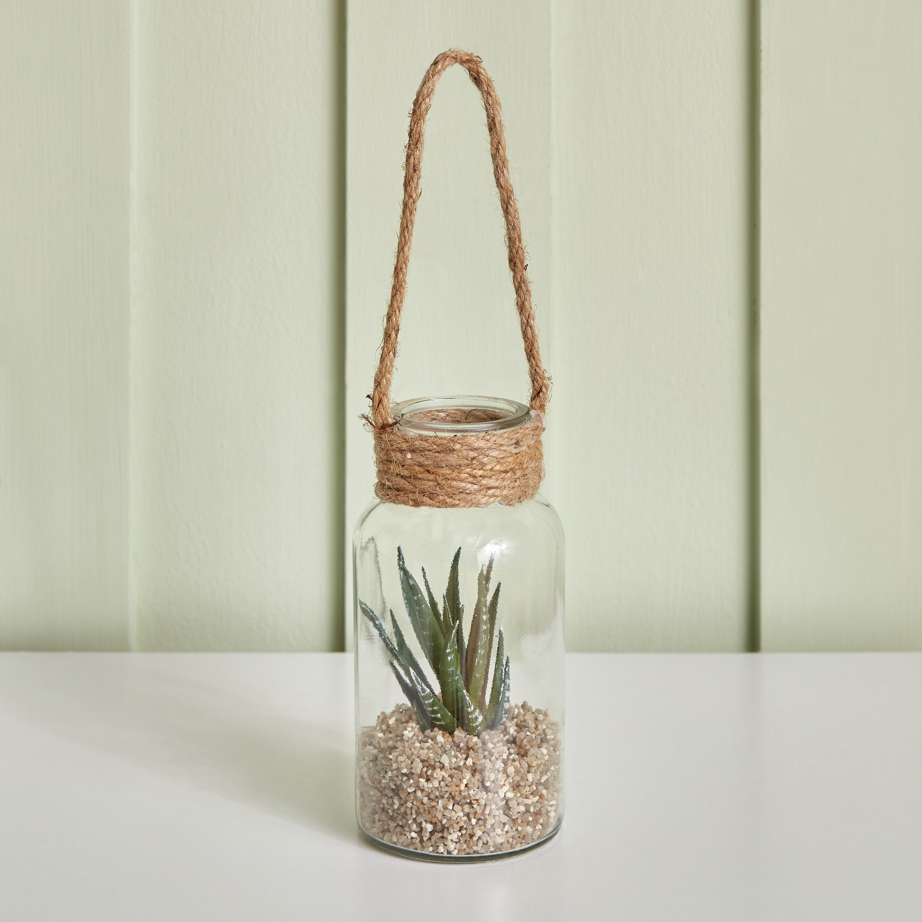Destan Succulent Plant in Rope Lantern - 8x16.3 cm-hbxdecorandfurnishings-homeaccessories-artificialflowersandplants-image-1