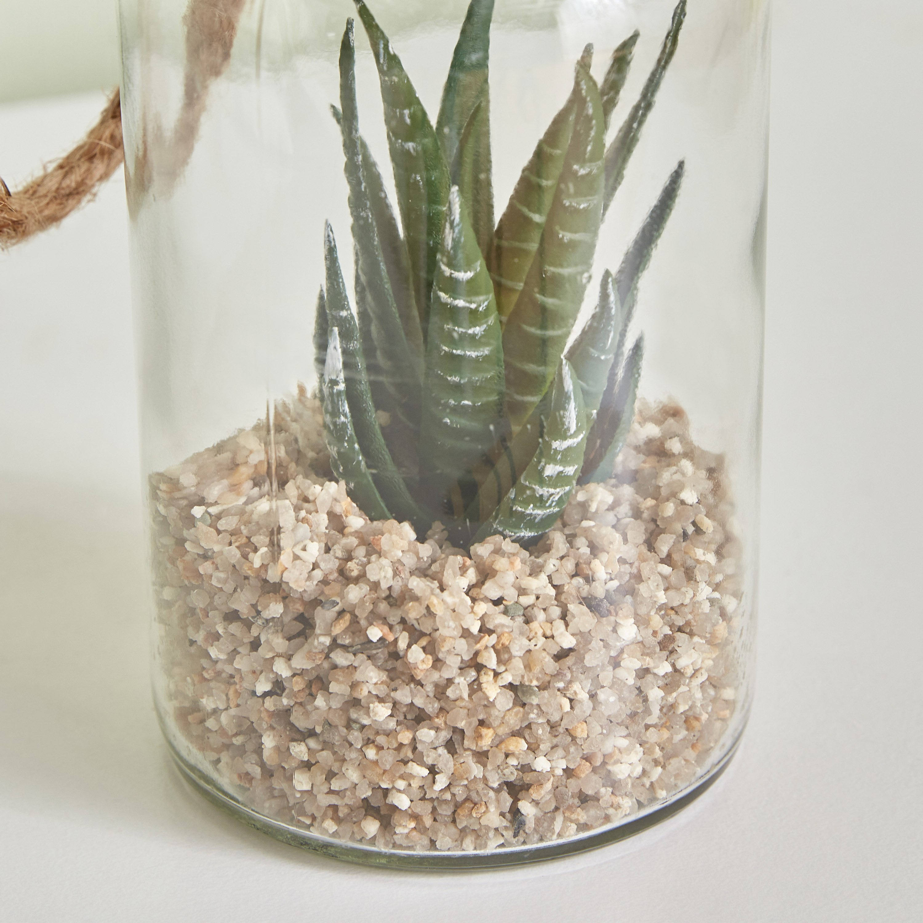 Destan Succulent Plant in Rope Lantern - 8x16.3 cm-hbxdecorandfurnishings-homeaccessories-artificialflowersandplants-image-3