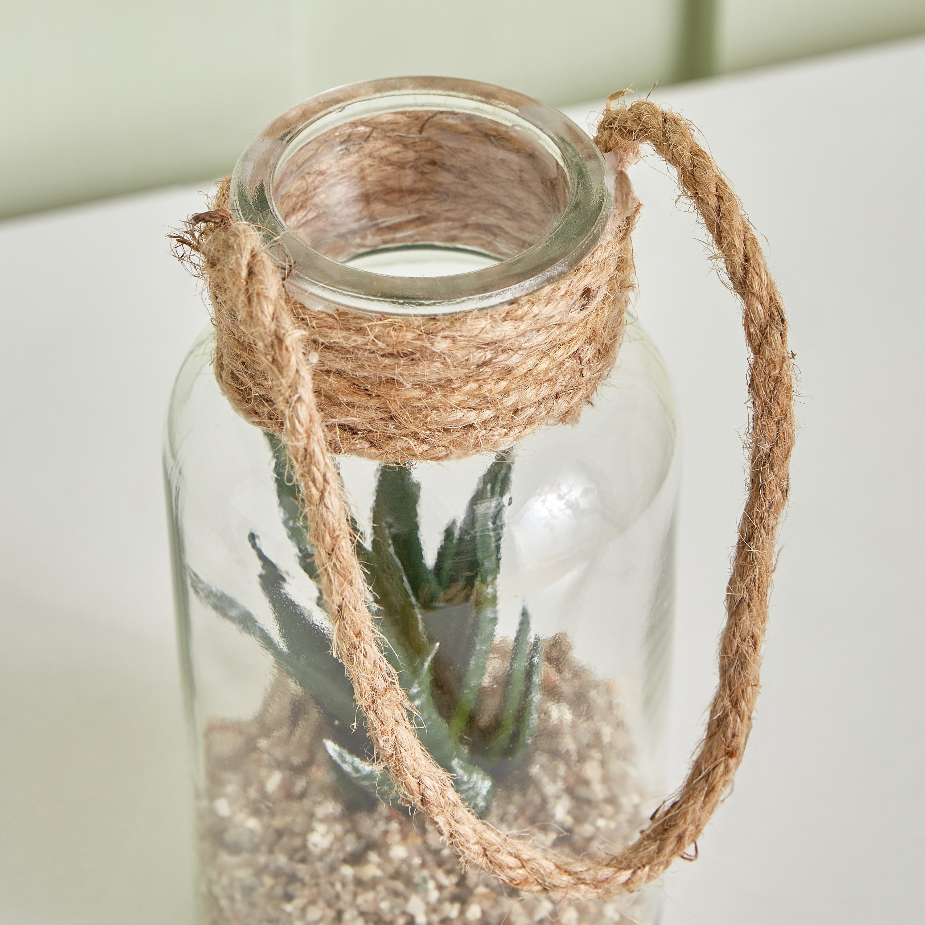 Destan Succulent Plant in Rope Lantern - 8x16.3 cm-hbxdecorandfurnishings-homeaccessories-artificialflowersandplants-image-4