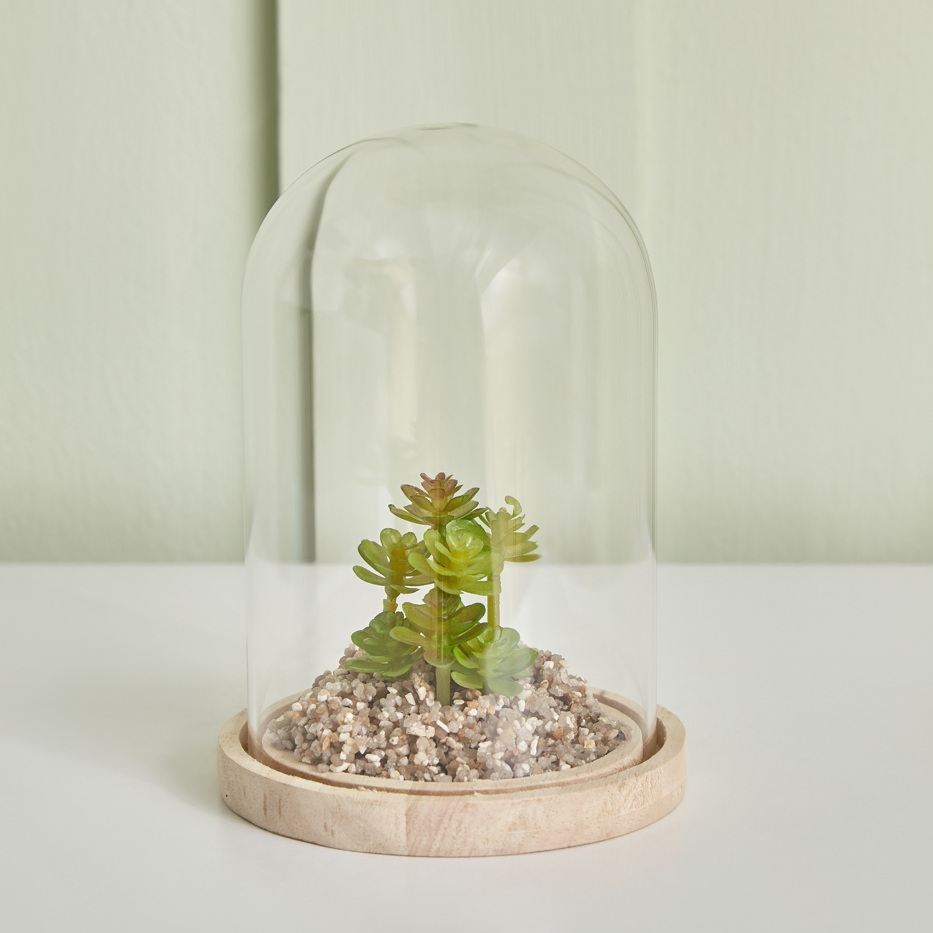 Destan Succulent Plant in Glass Dome and Wooden Base - 9x14.5 cm-hbxdecorandfurnishings-homeaccessories-artificialflowersandplants-image-1