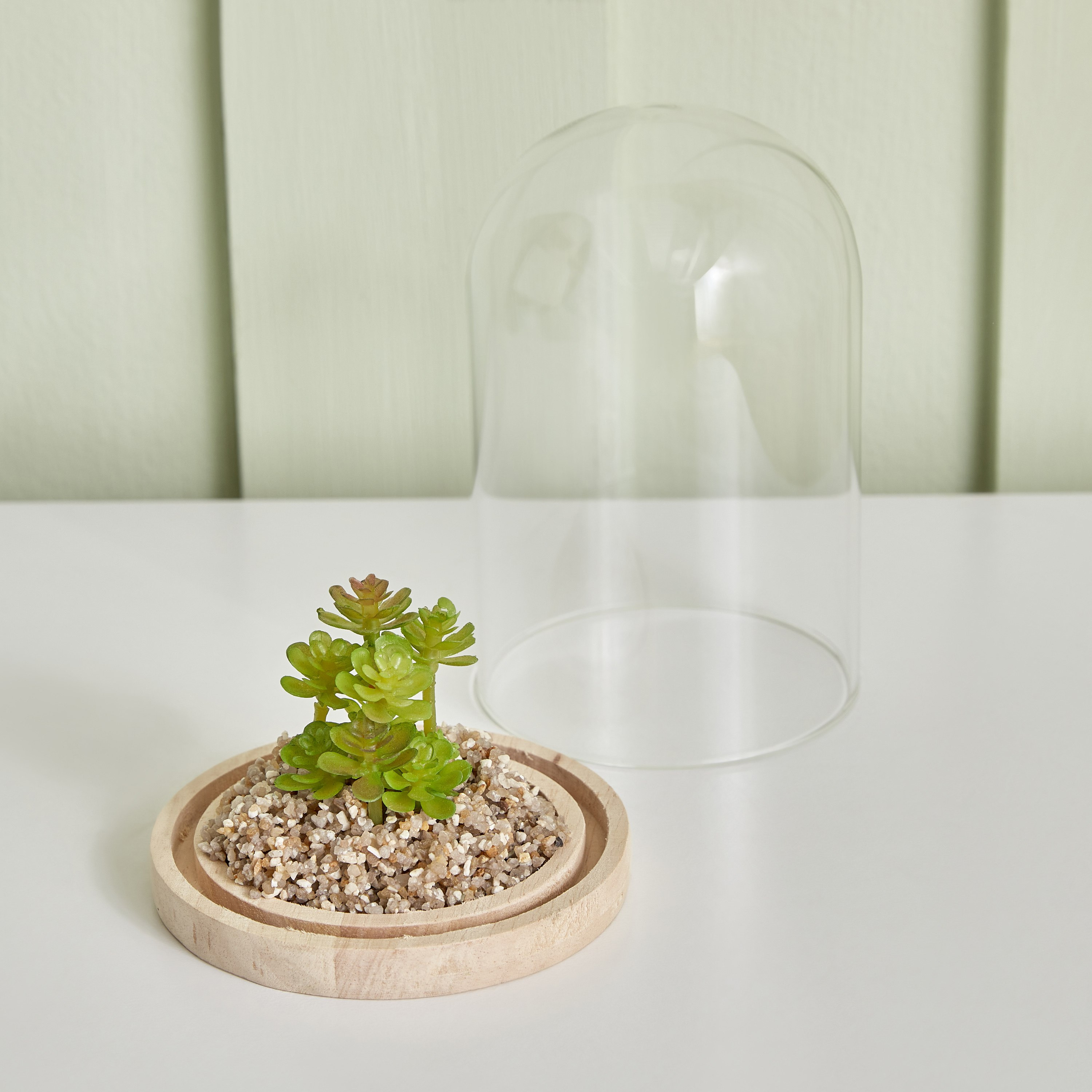 Destan Succulent Plant in Glass Dome and Wooden Base - 9x14.5 cm-hbxdecorandfurnishings-homeaccessories-artificialflowersandplants-image-2