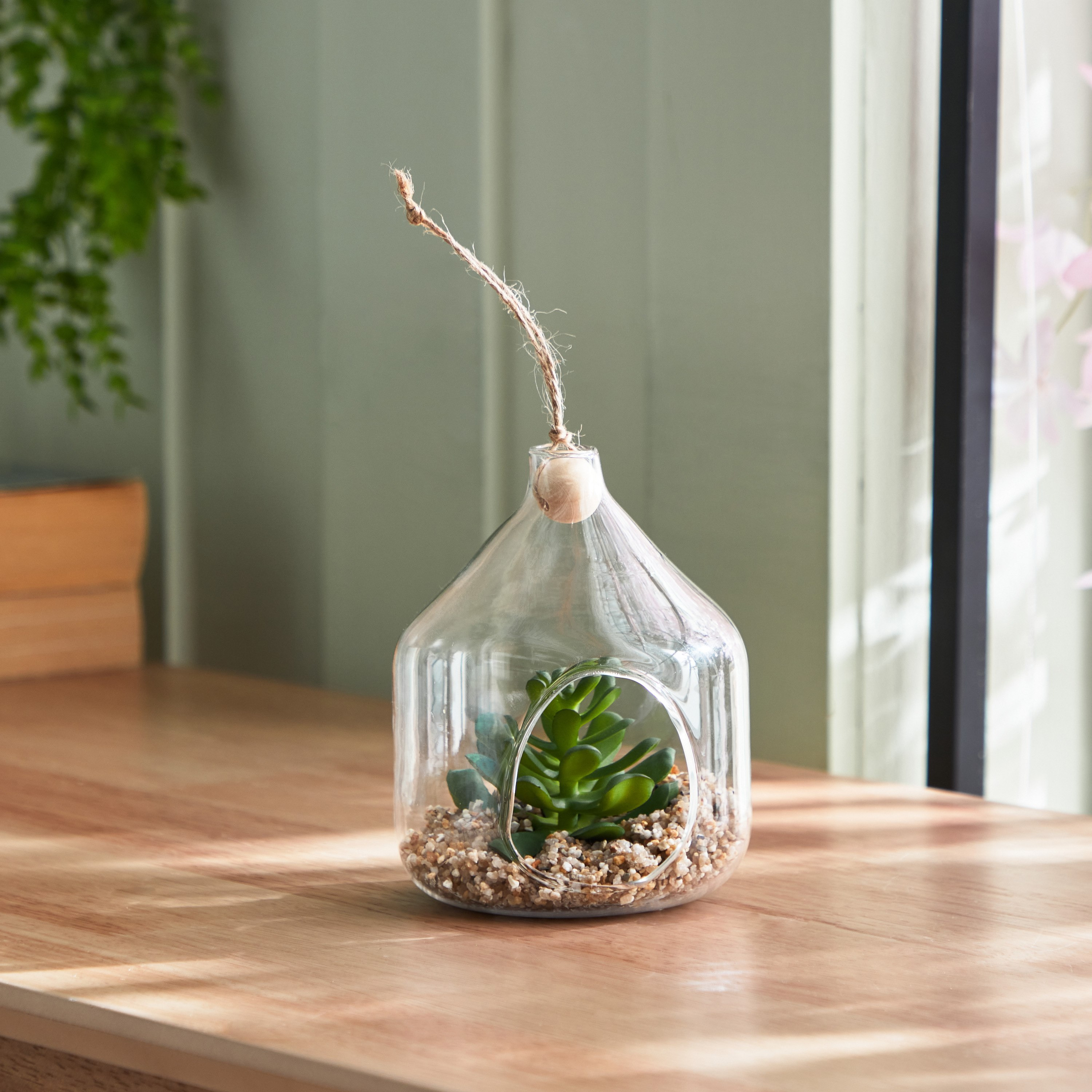 Destan Hanging Succulent Plant - 10x12.5 cm-hbxdecorandfurnishings-homeaccessories-artificialflowersandplants-image-1