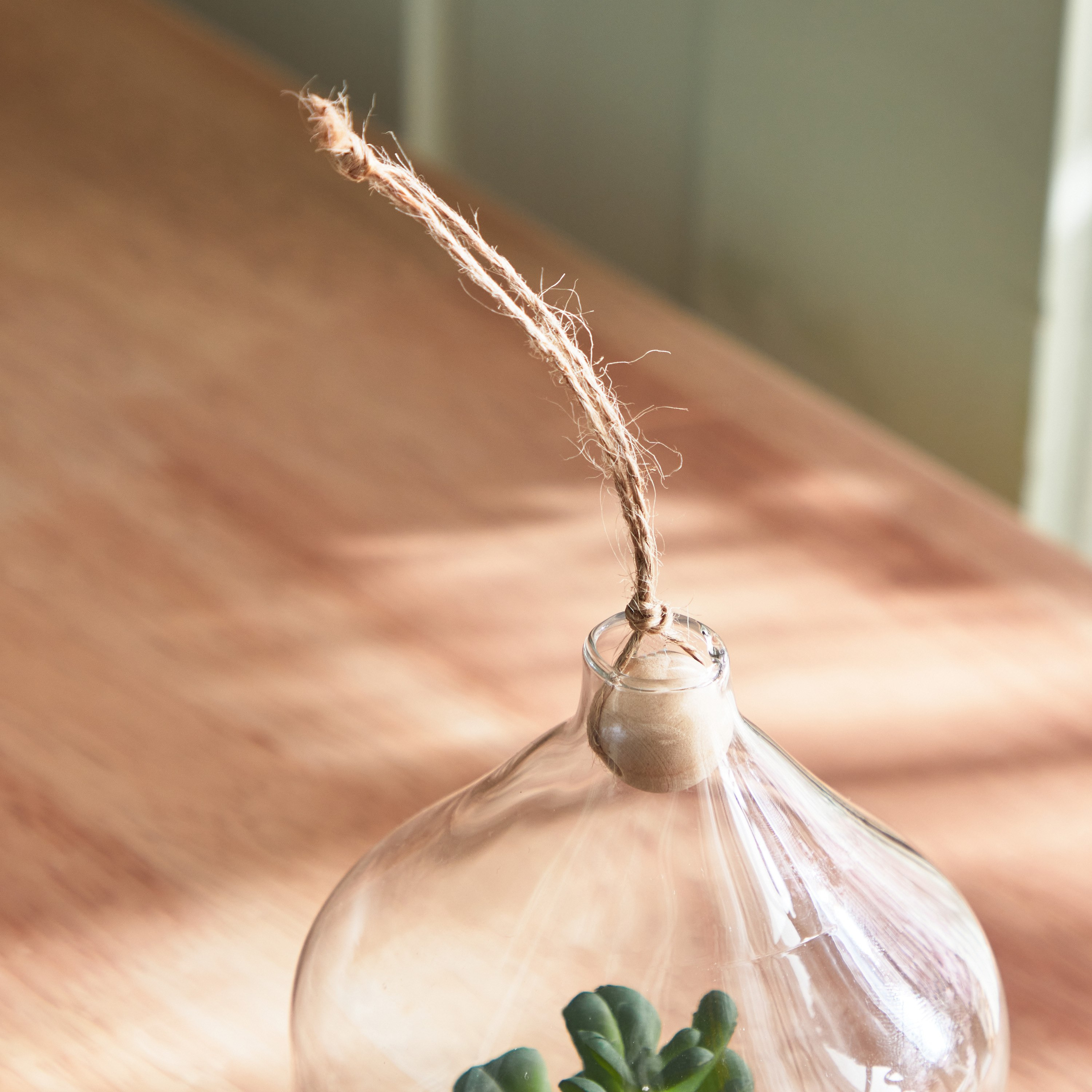 Destan Hanging Succulent Plant - 10x12.5 cm-hbxdecorandfurnishings-homeaccessories-artificialflowersandplants-image-2