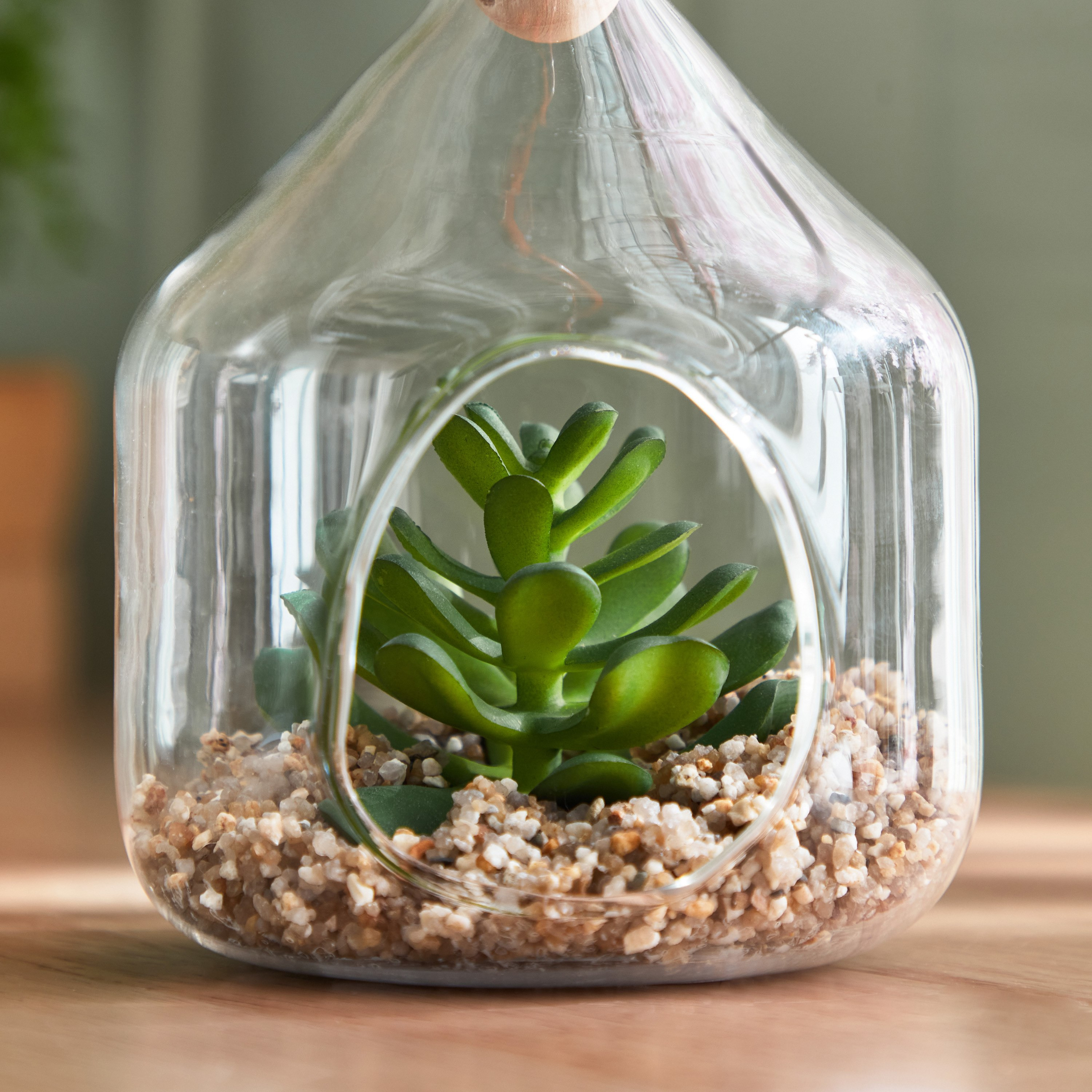 Destan Hanging Succulent Plant - 10x12.5 cm-hbxdecorandfurnishings-homeaccessories-artificialflowersandplants-image-3