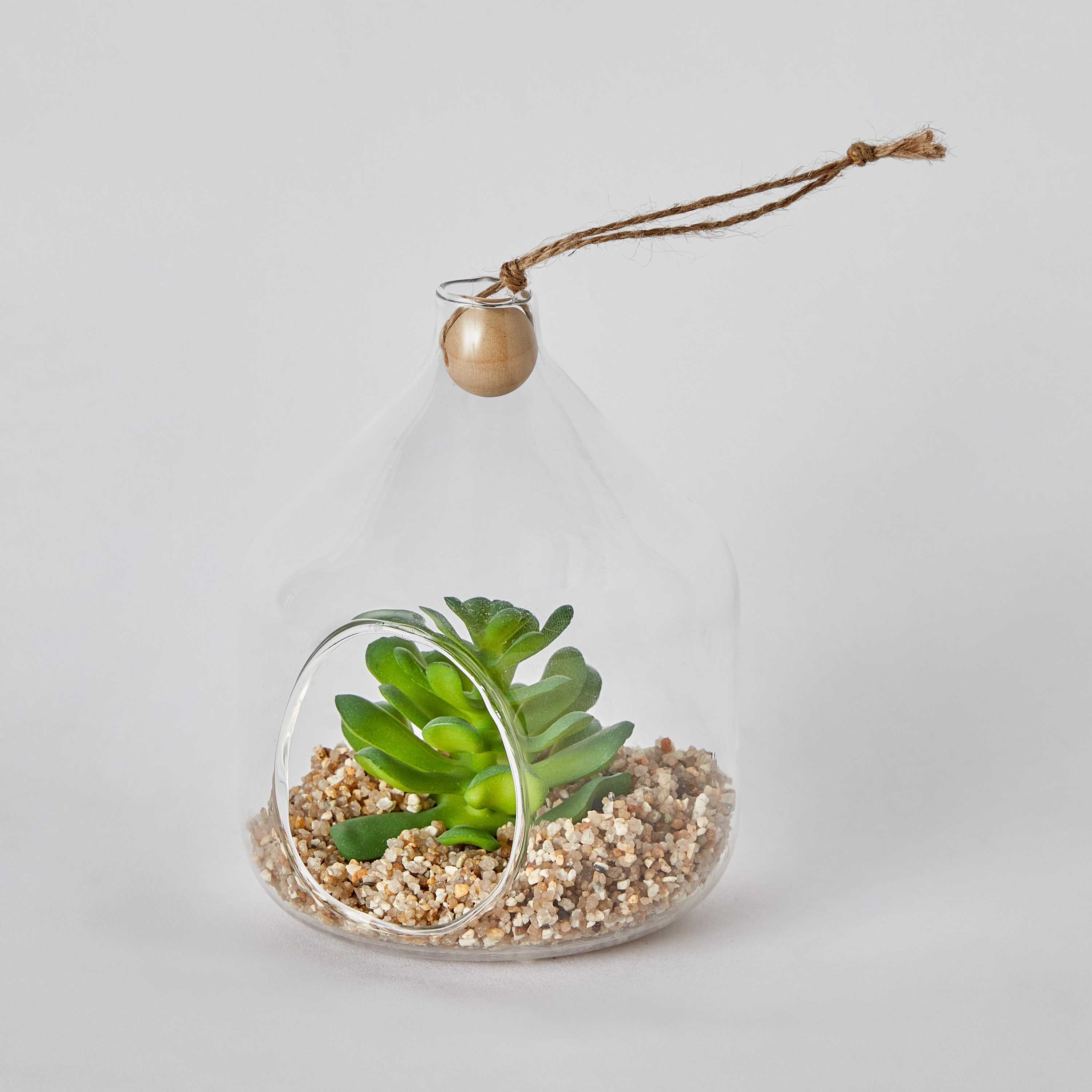 Destan Hanging Succulent Plant - 10x12.5 cm-hbxdecorandfurnishings-homeaccessories-artificialflowersandplants-image-5