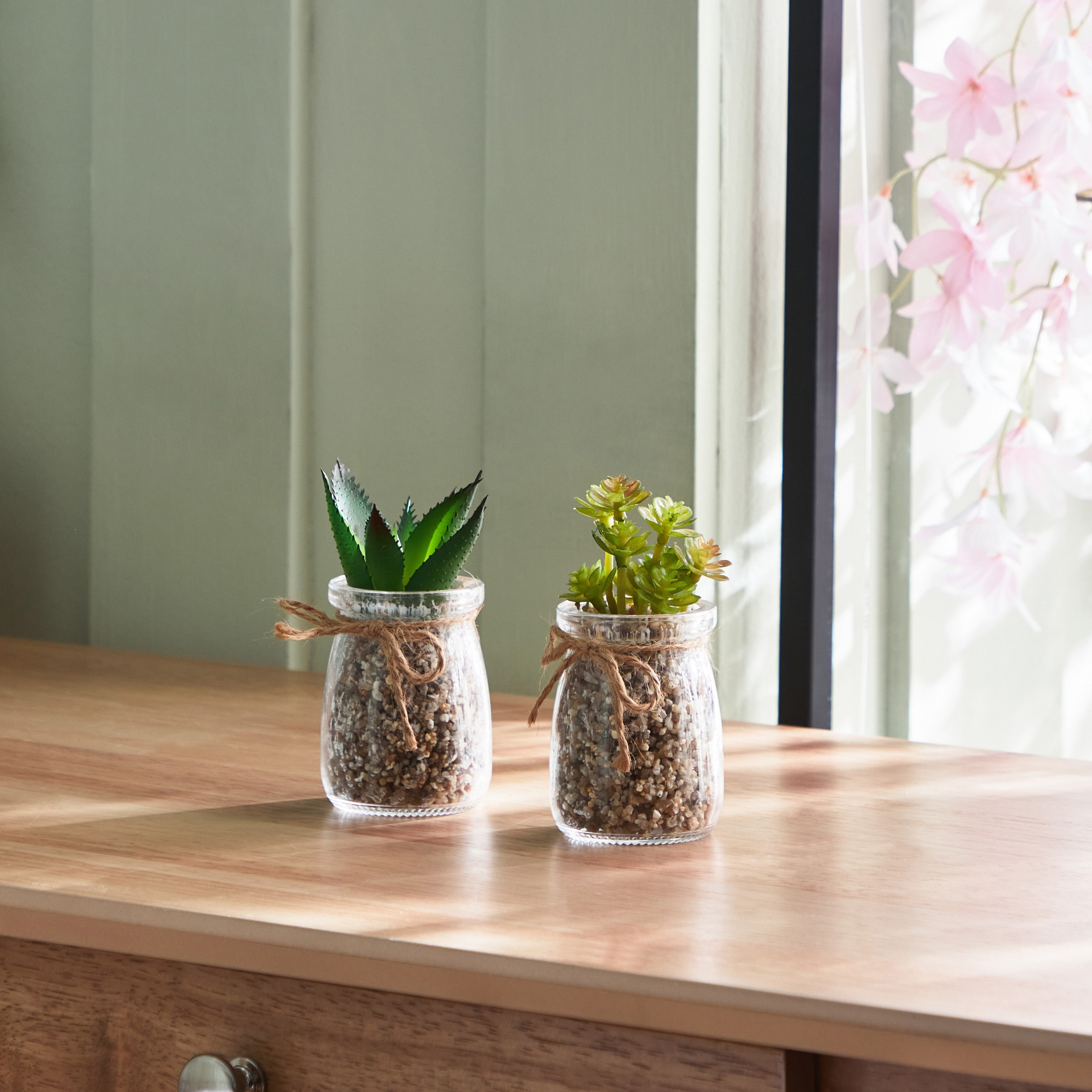 مجموعة نباتات عصاري قطعتين من ديستان - 5.6x7 سم-hbxdecorandfurnishings-homeaccessories-artificialflowersandplants-image-1