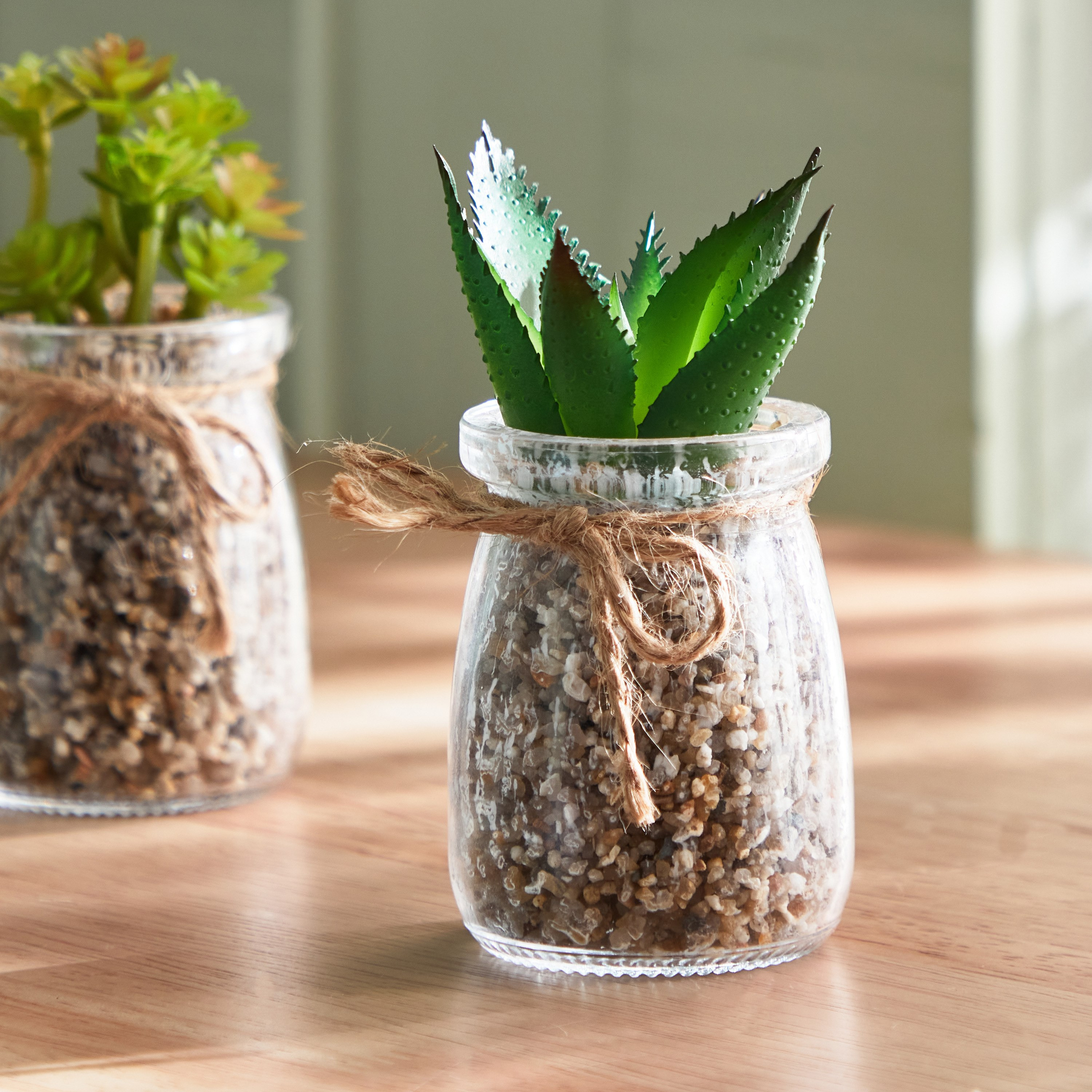مجموعة نباتات عصاري قطعتين من ديستان - 5.6x7 سم-hbxdecorandfurnishings-homeaccessories-artificialflowersandplants-image-2