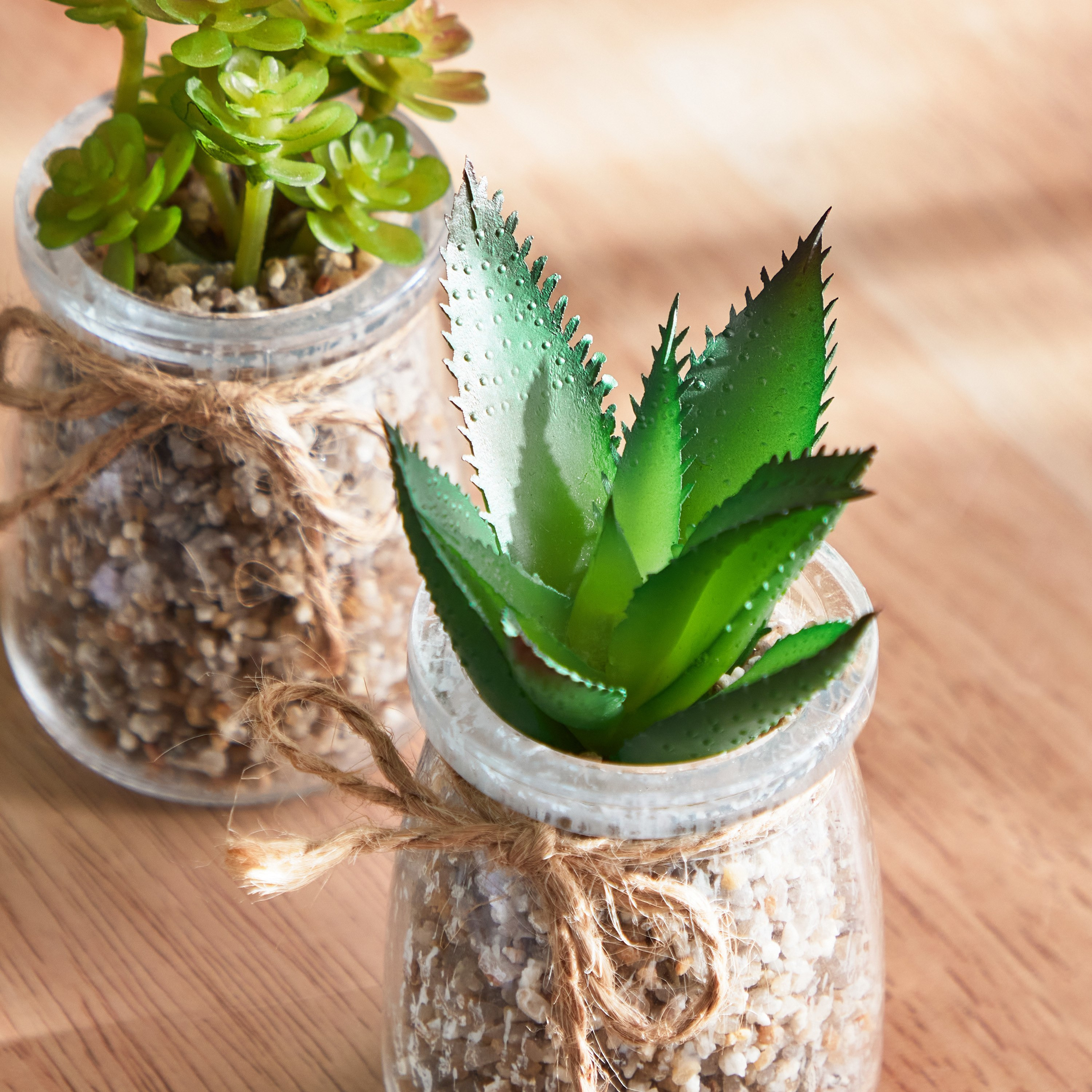 مجموعة نباتات عصاري قطعتين من ديستان - 5.6x7 سم-hbxdecorandfurnishings-homeaccessories-artificialflowersandplants-image-3